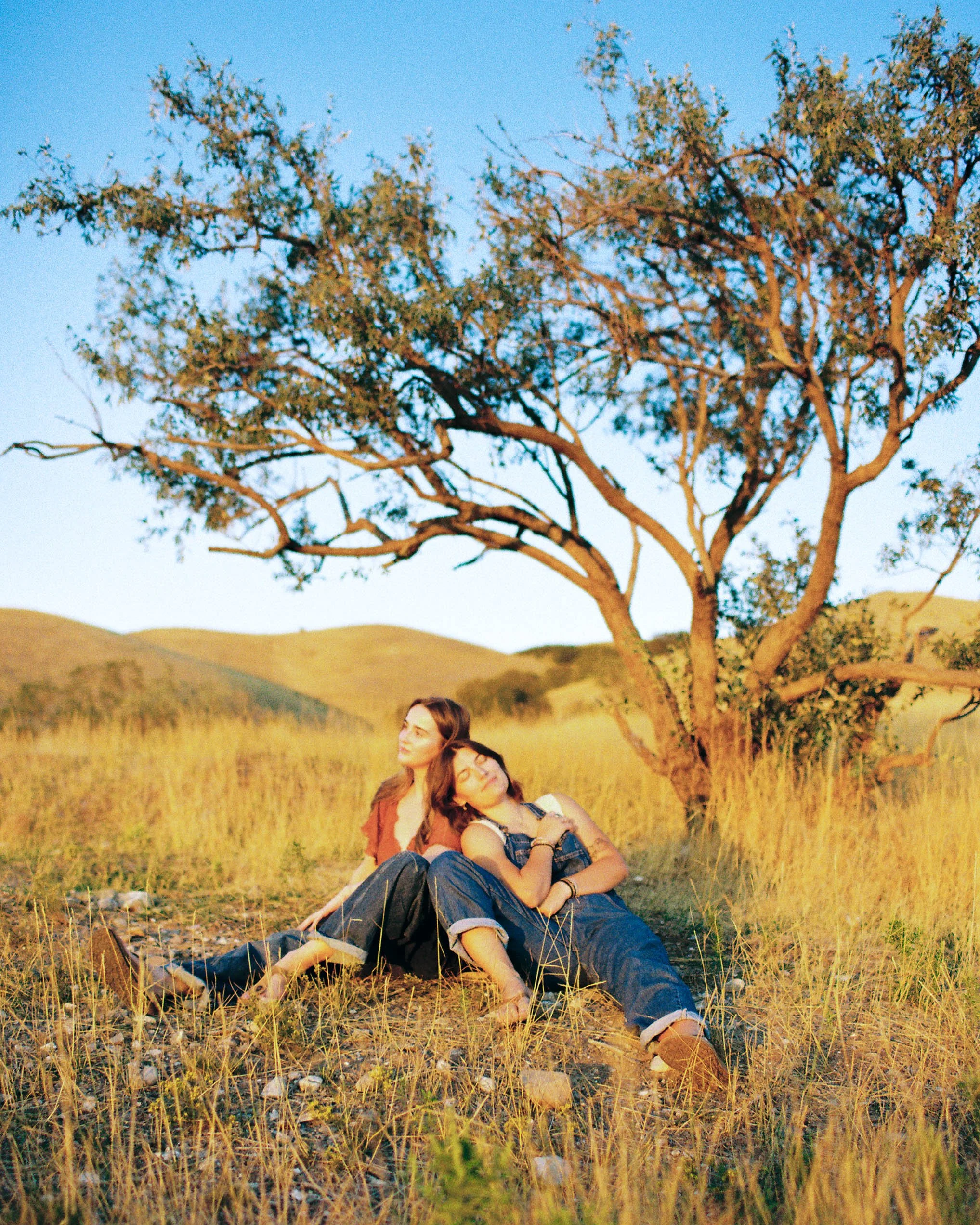 Two young women sitting and leaning on each other in a grassy field with a large tree behind them, warm sunlight illuminating the scene, hills in the background.