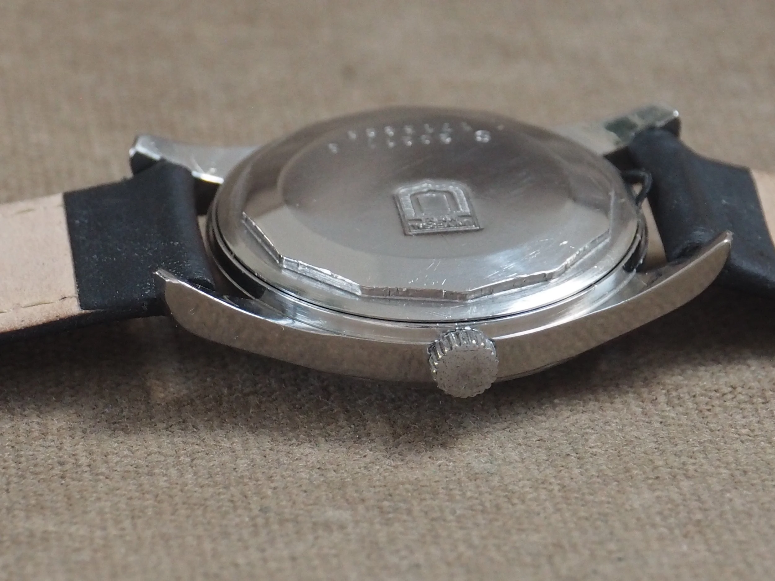 P5125652.JPG