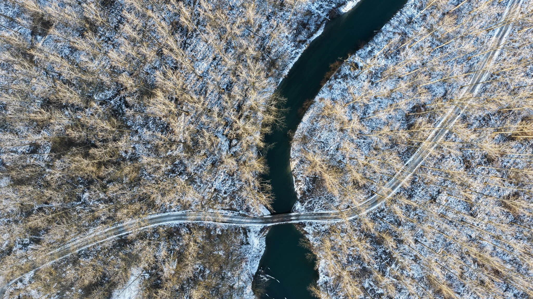 DJI_20260118220357_0221_D.jpg