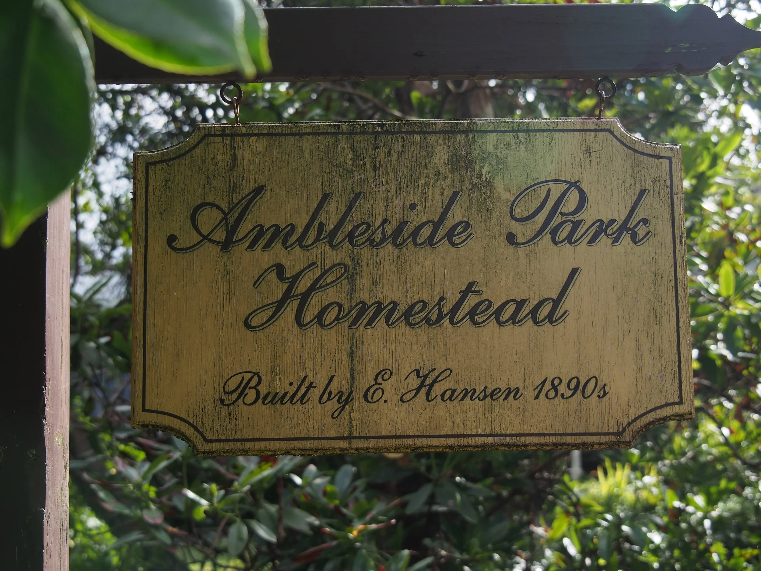 A weathered, wooden sign hanging from a branch with green leaves in the background. The sign reads 'Ambleside Park Homestead Built by E. Hansen 1890s' in black cursive lettering.