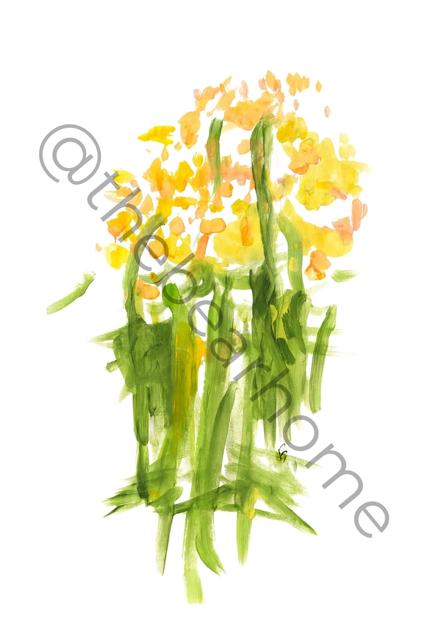 the "Daffodils"
