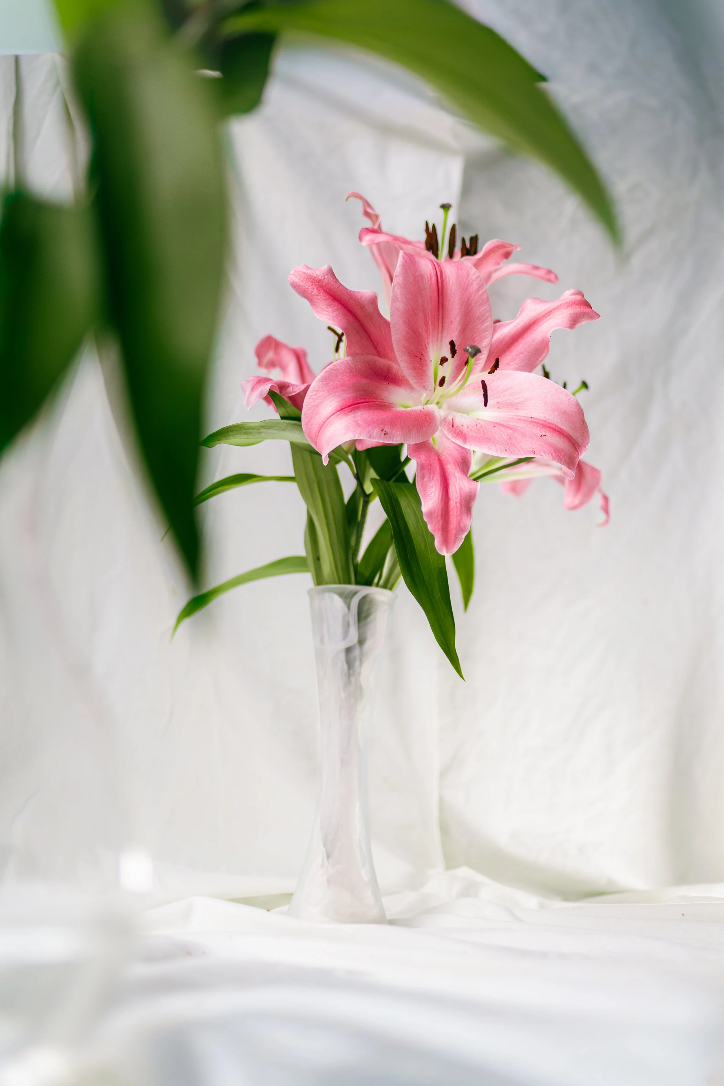 08 February 16-50-03 ARRIANNA.jpg