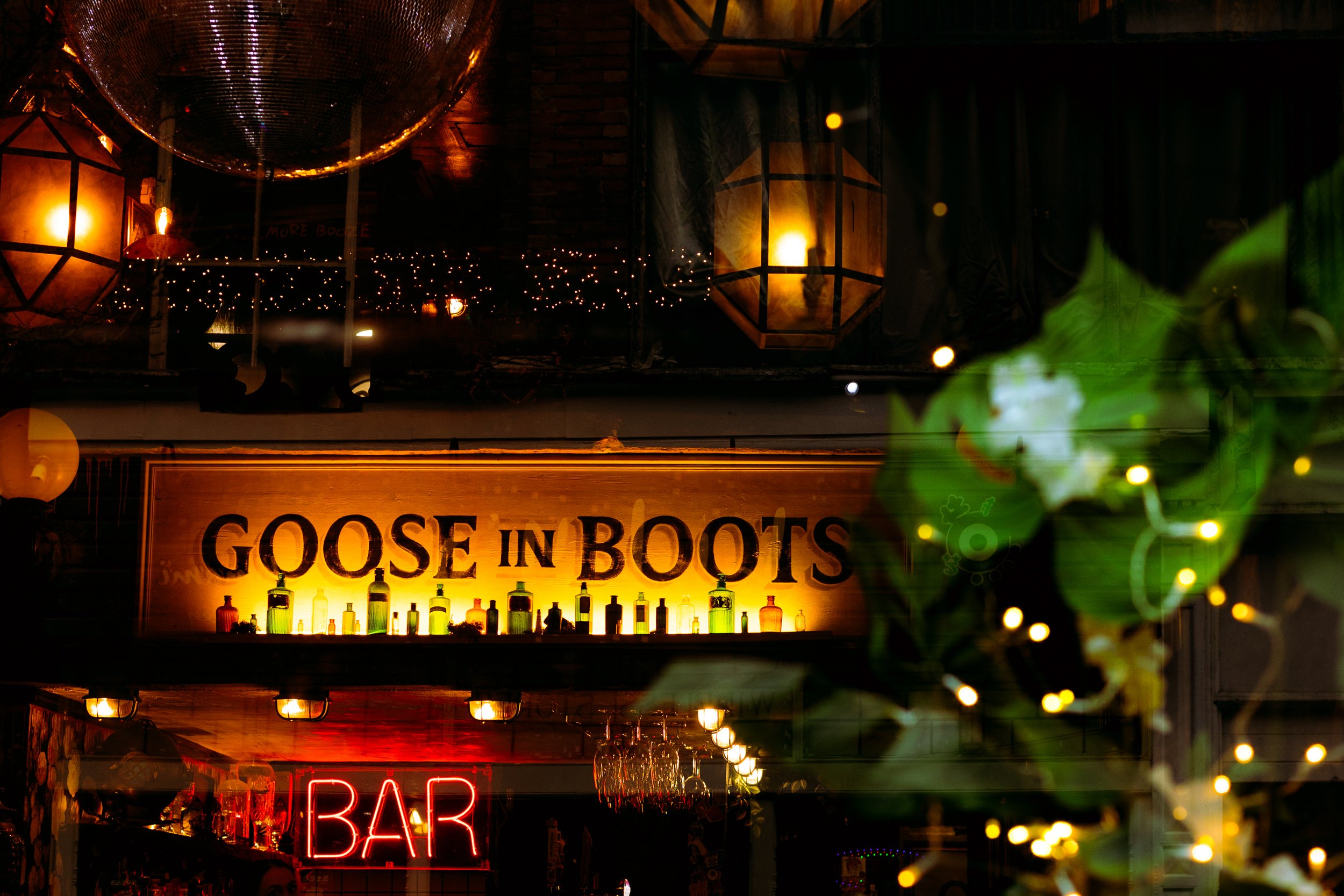 14 January 16-51-22 ARRIANNA.jpg