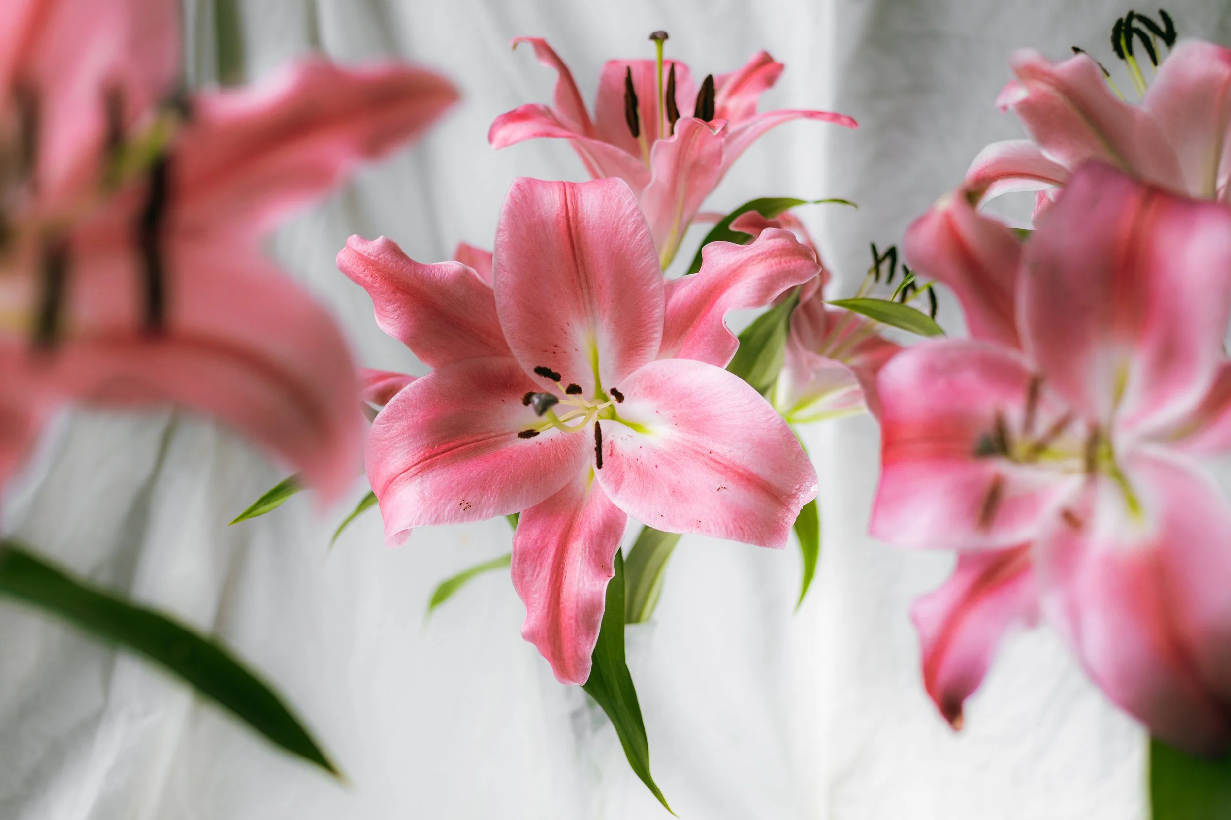 08 February 16-44-15 ARRIANNA.jpg