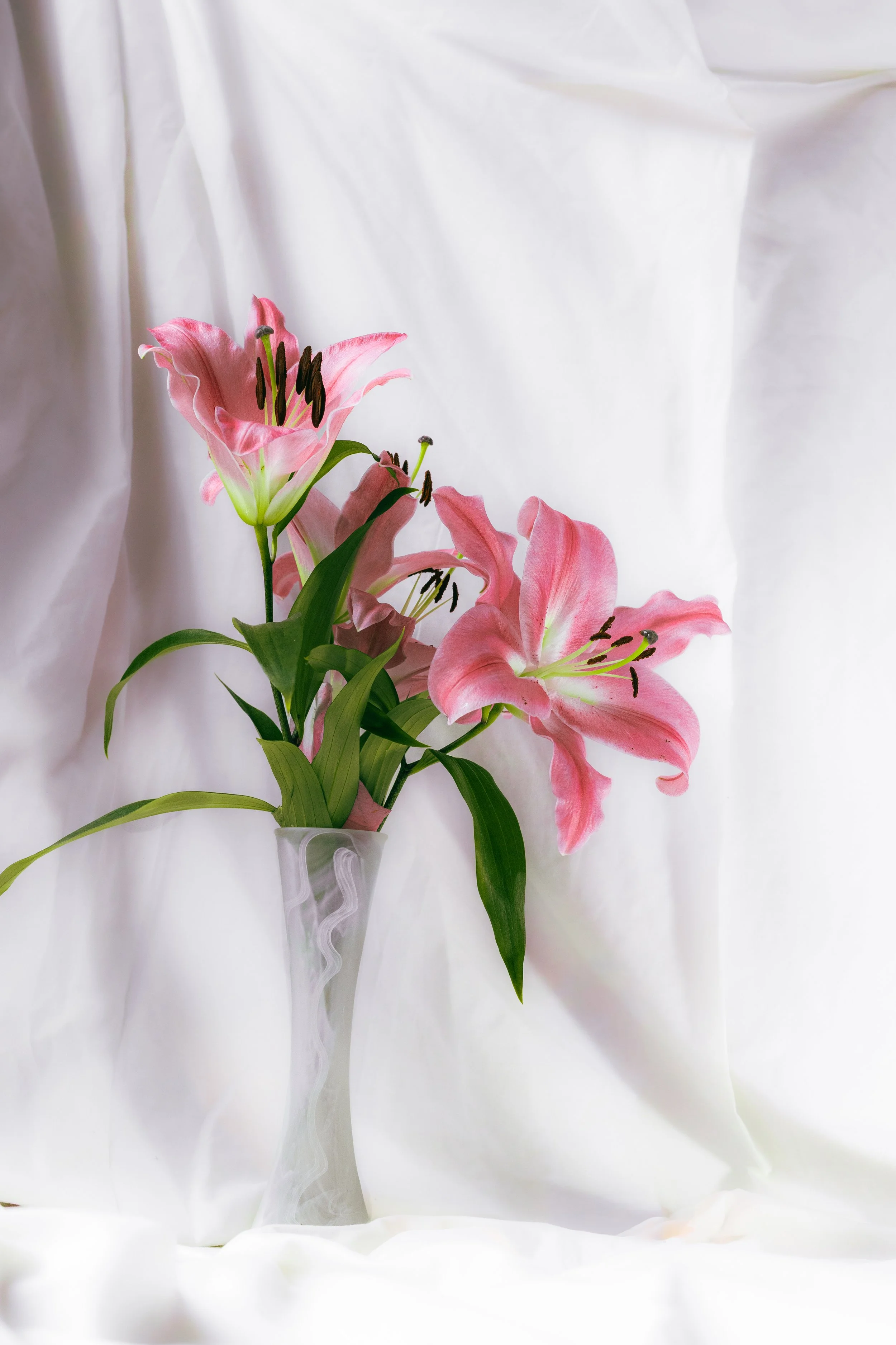 08 February 16-09-21 ARRIANNA.jpg