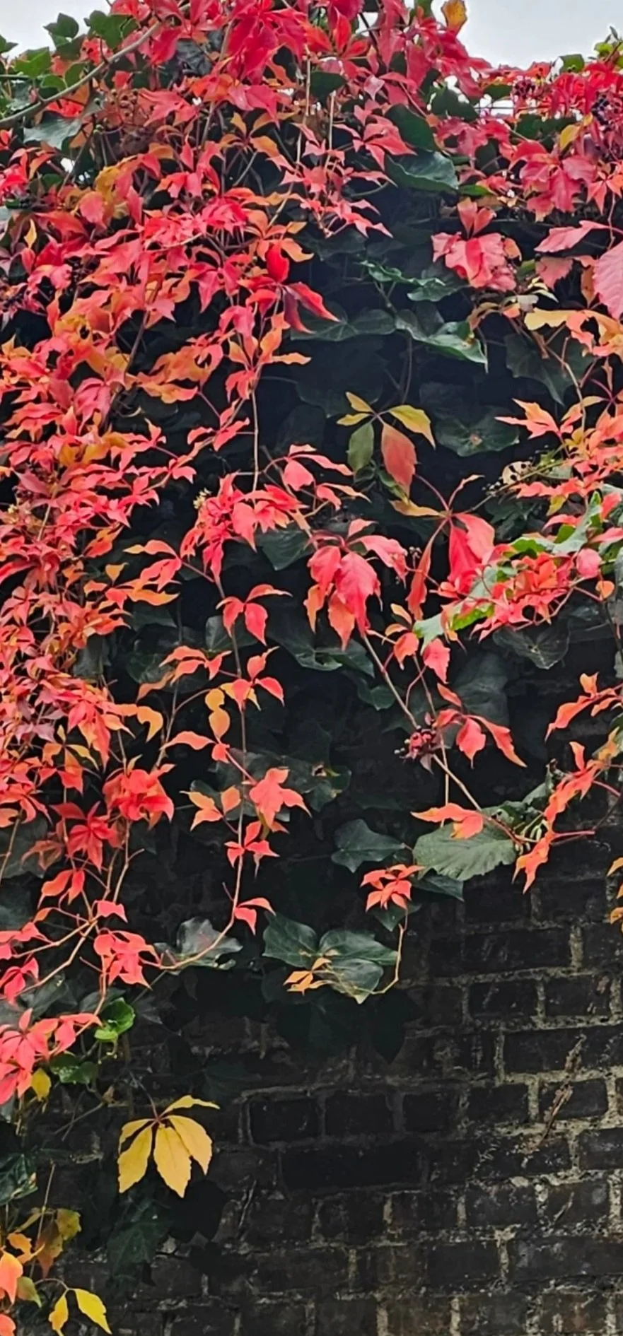 The Burnout Reset Cycle