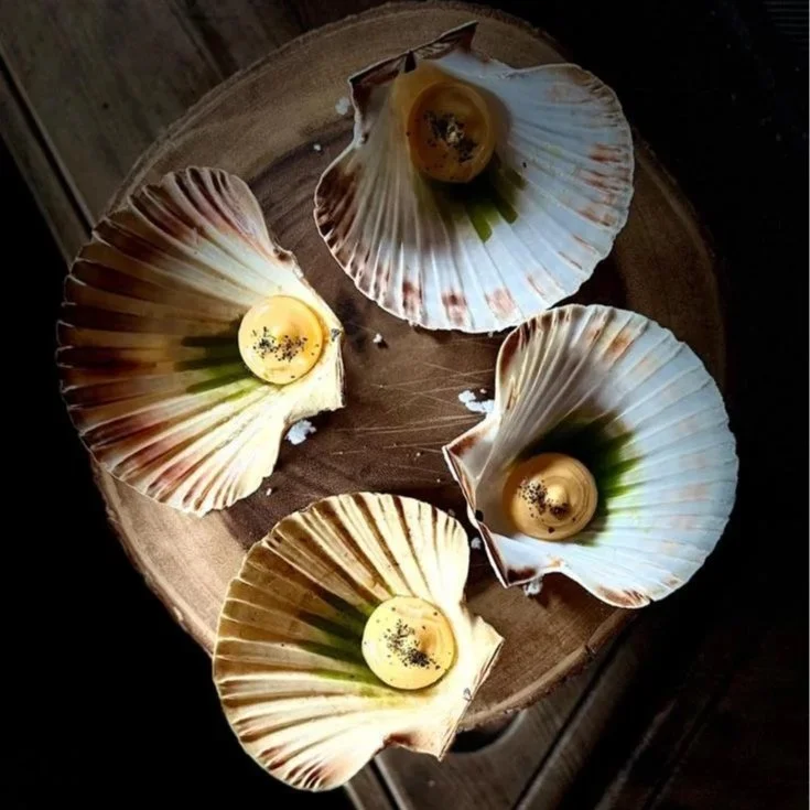 Four scallop shells with baked eggs topped with black pepper, arranged on a wooden plate.