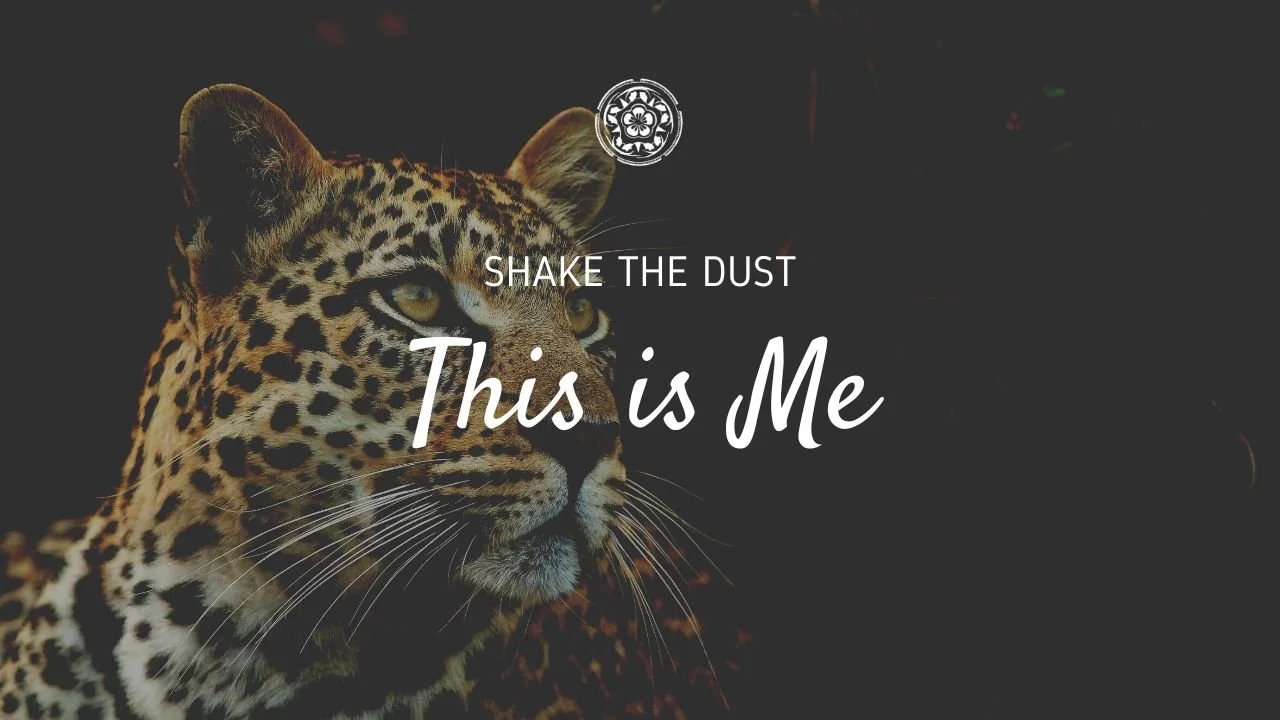 Related Video Item Thumbnail