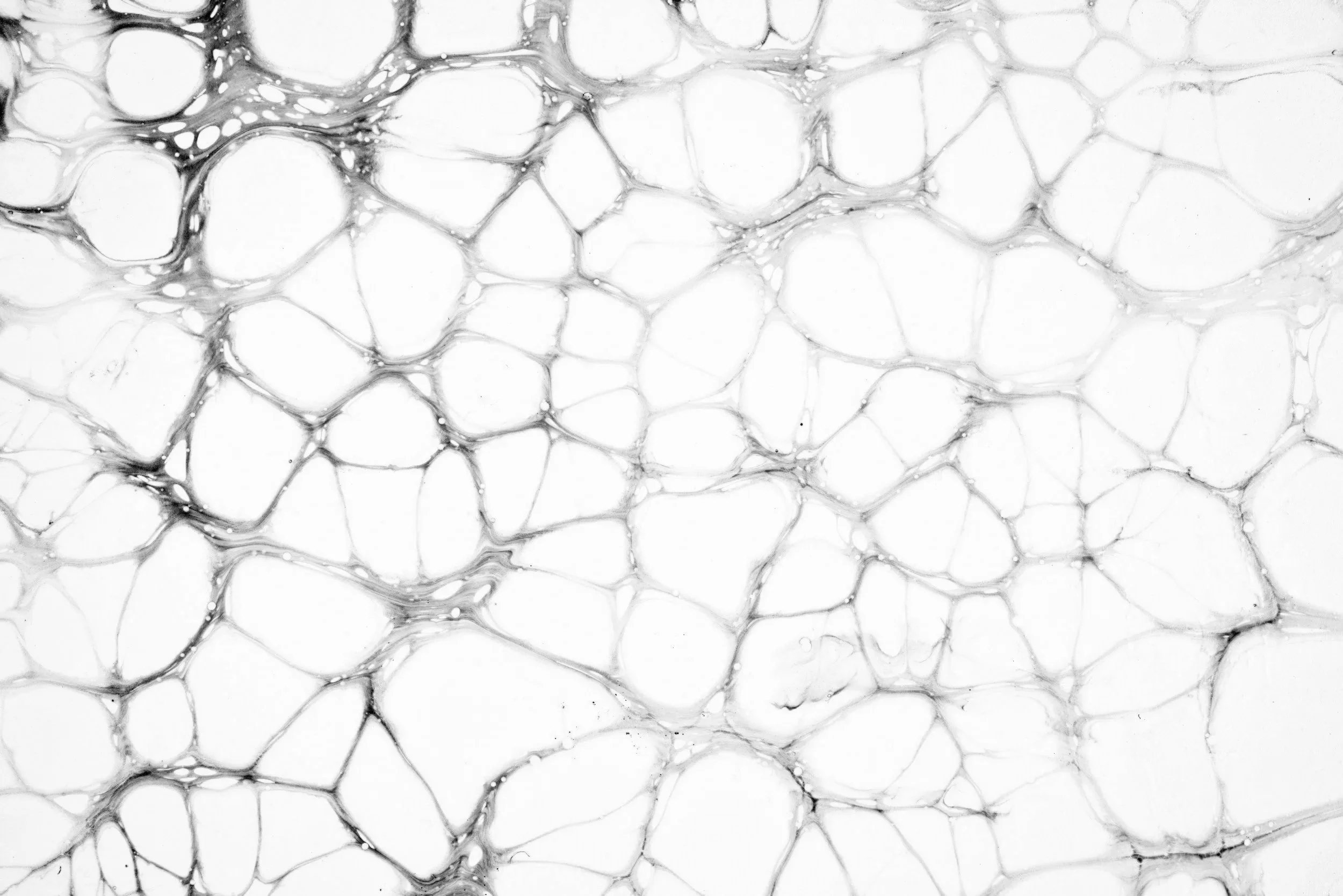 Schwarz-weiße Nahaufnahme von Seifenblasen, die auf einer Oberfläche schwimmen.