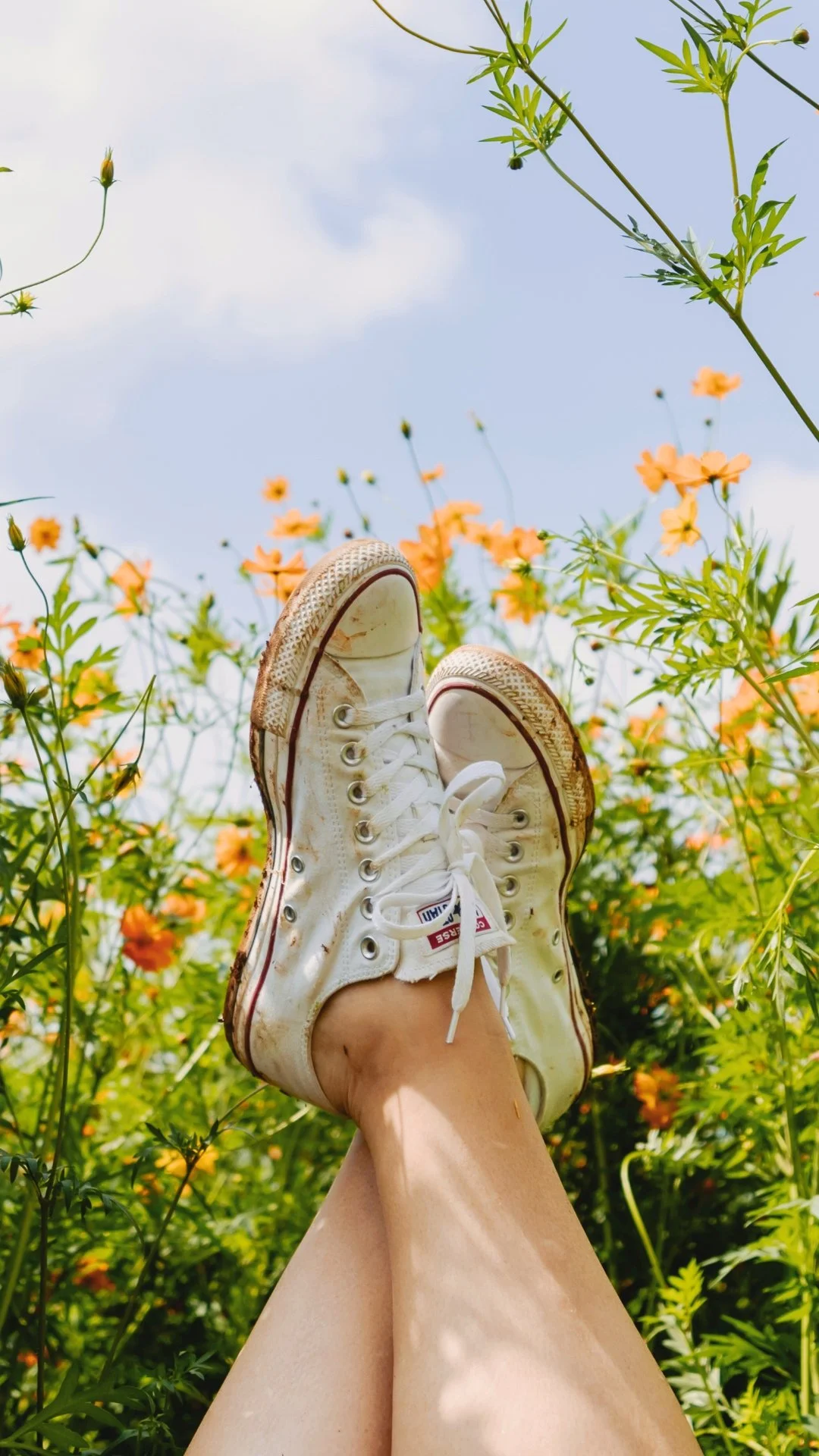 Beine mit weißen Converse Turnschuhen, erhoben in der Luft, vor einer Blumenwiese mit gelben Blumen und einem blauen Himmel im Hintergrund.