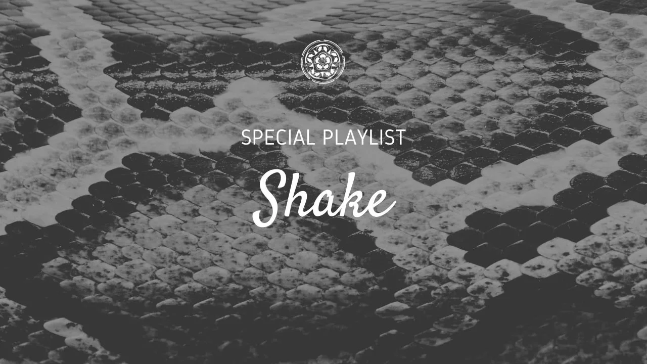 Schwarz-weiße Aufnahme eines Marmorbodens mit Mustern, oben ein kreisförmiges Logo, in der Mitte Text »Special Playlist Shake«.