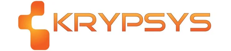 We are an information security consulting company with a mission to help our customers protect their information and data from current and emerging security.