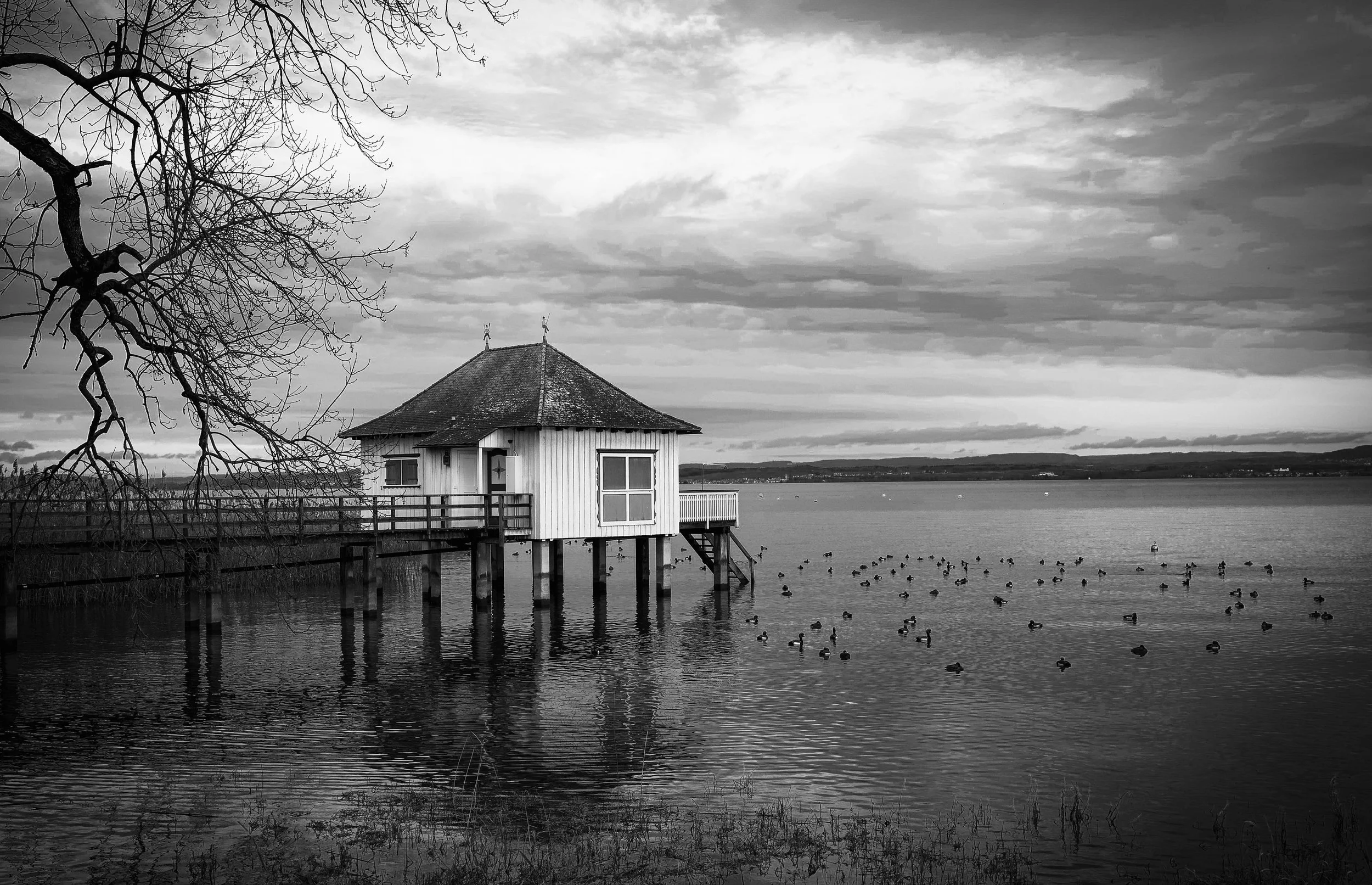 Güttingen, Bodensee Schweiz 