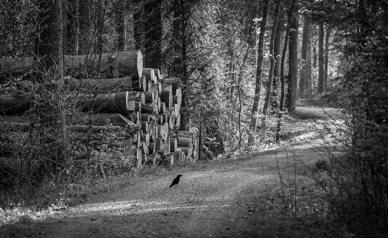 Etzberg Winterthur, Schweiz 