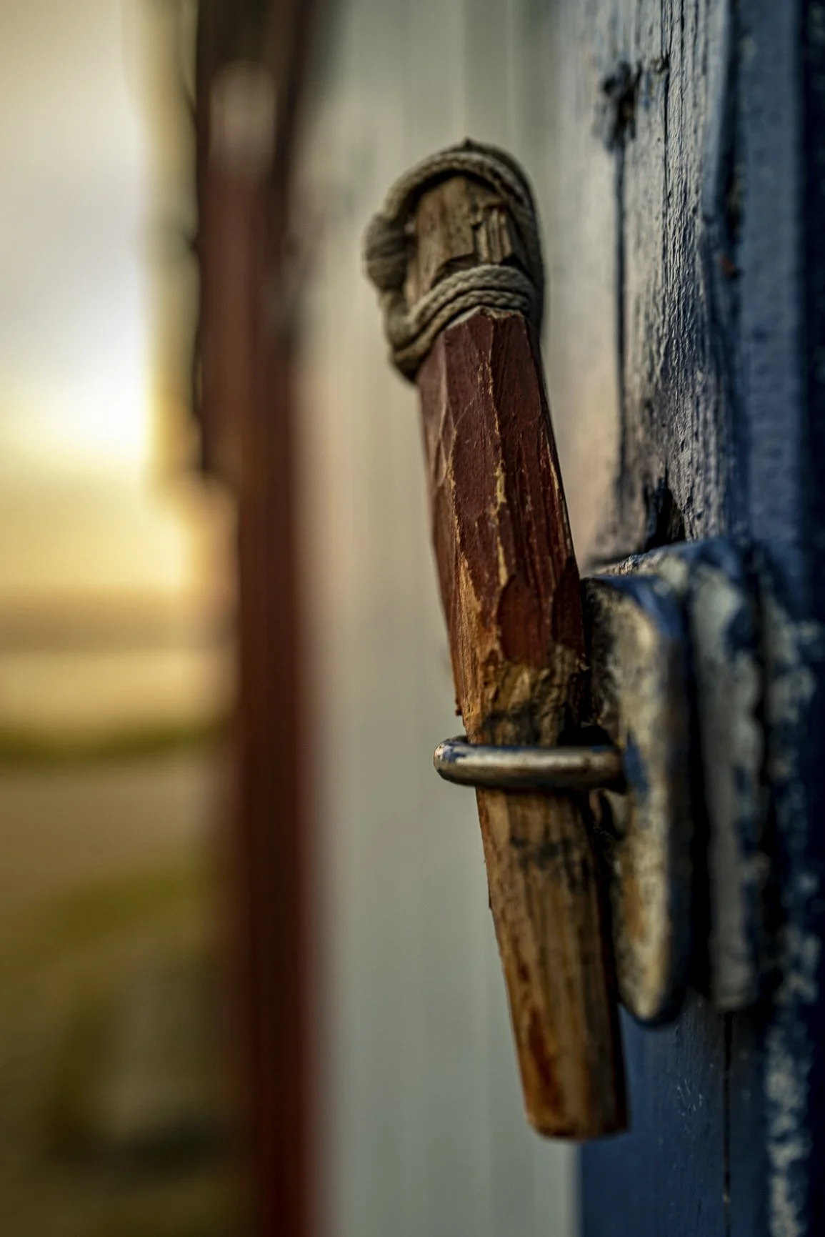 HvideSande_morning_walk_Oddhunt®-7.jpg