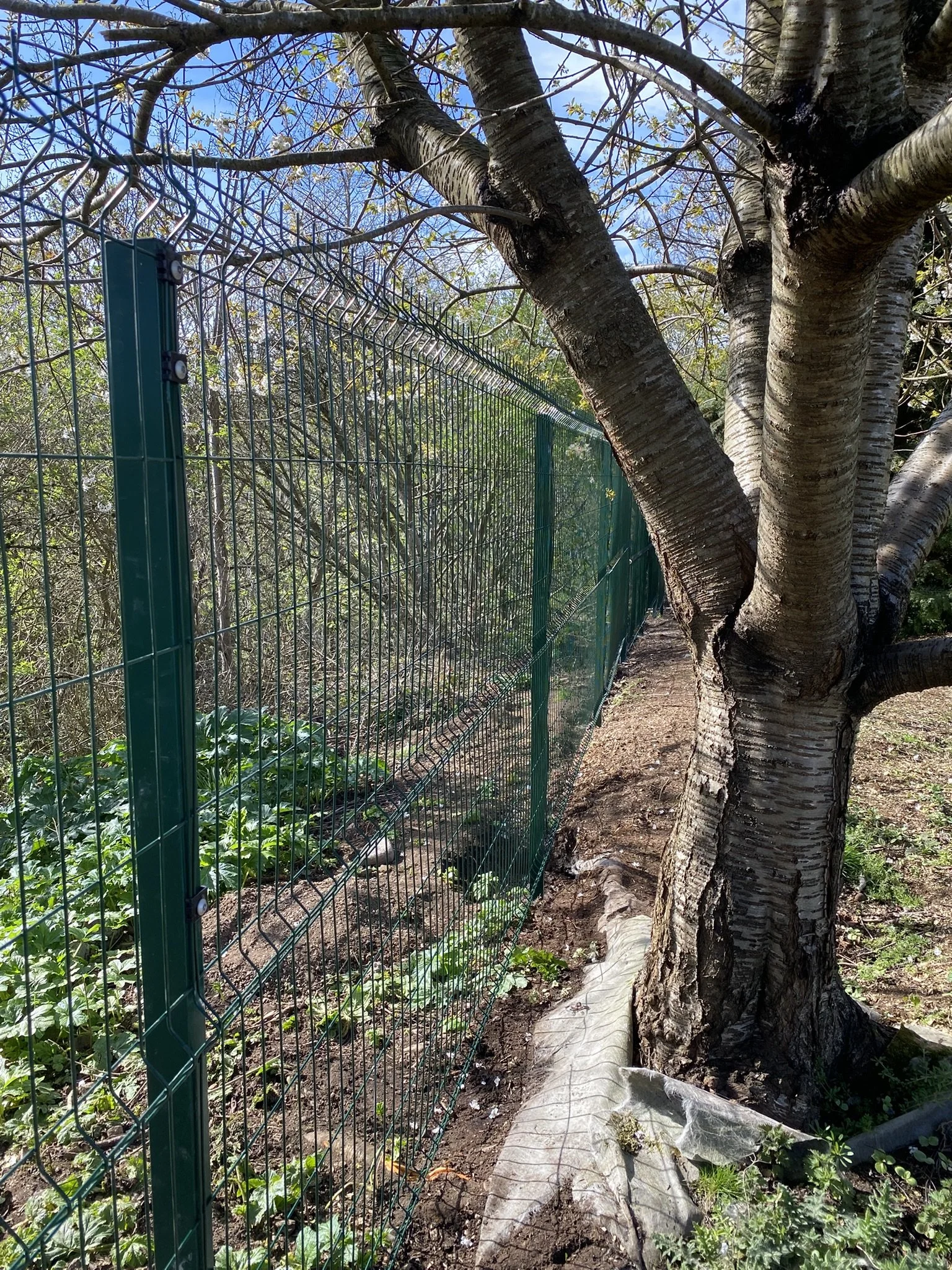 Anti-vandal fence installation - Broughty Ferry