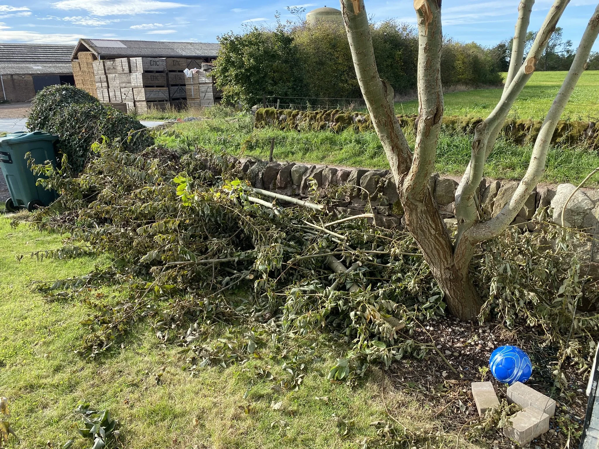 Grounds & External Areas