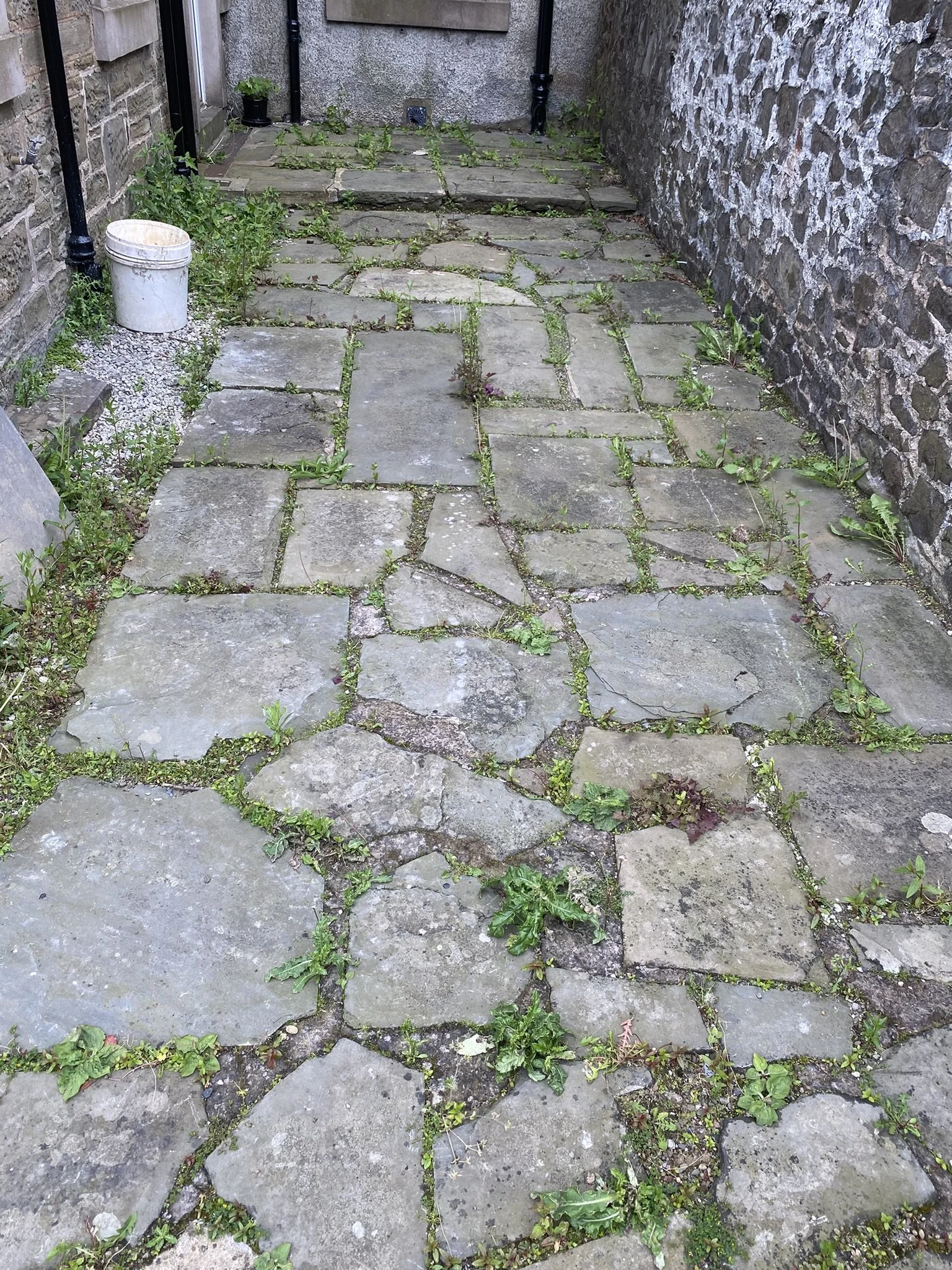 Pressure washing - Broughty Ferry