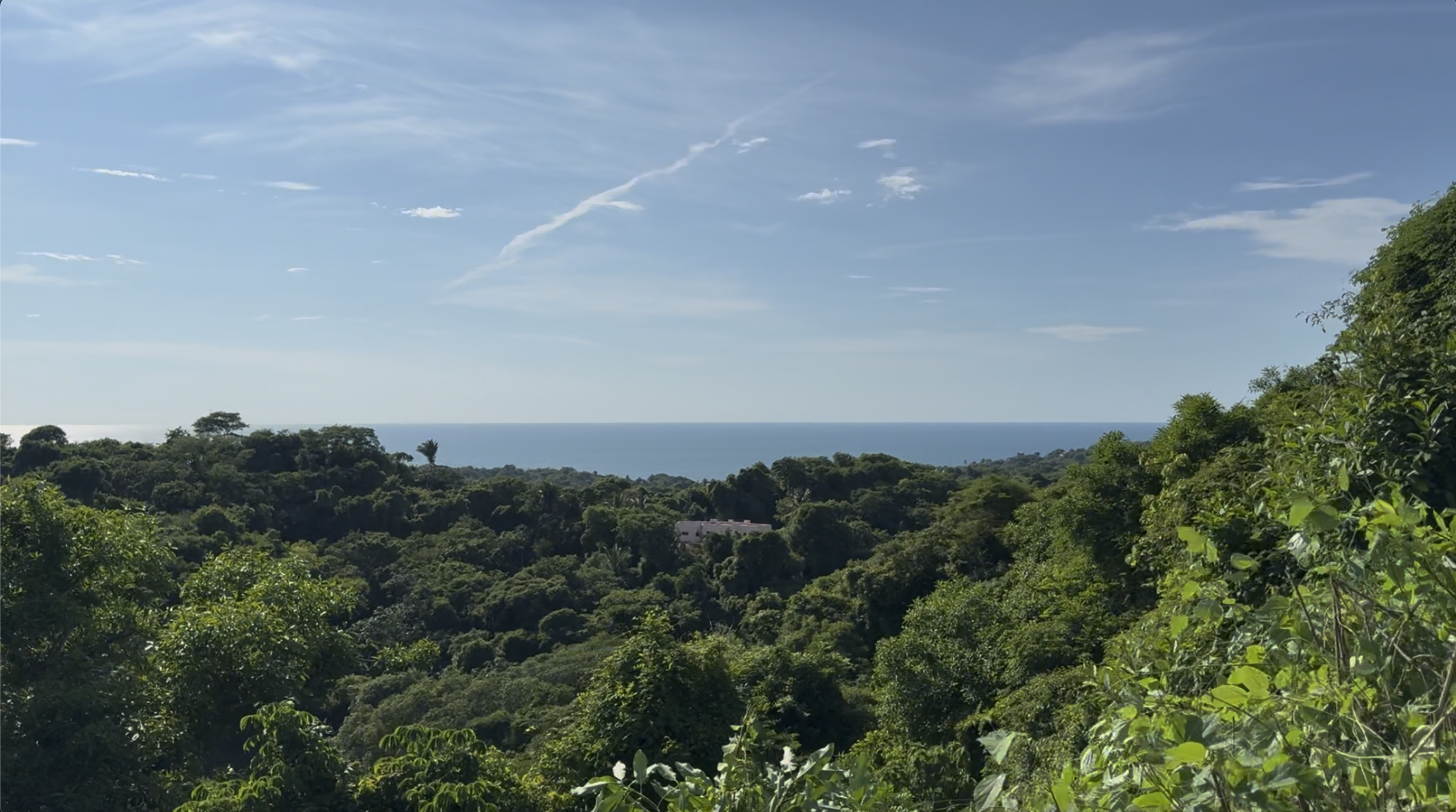 A scenic view of a lush green forest with dense trees, a distant horizon, and a glimpse of the ocean under a partly cloudy sky.