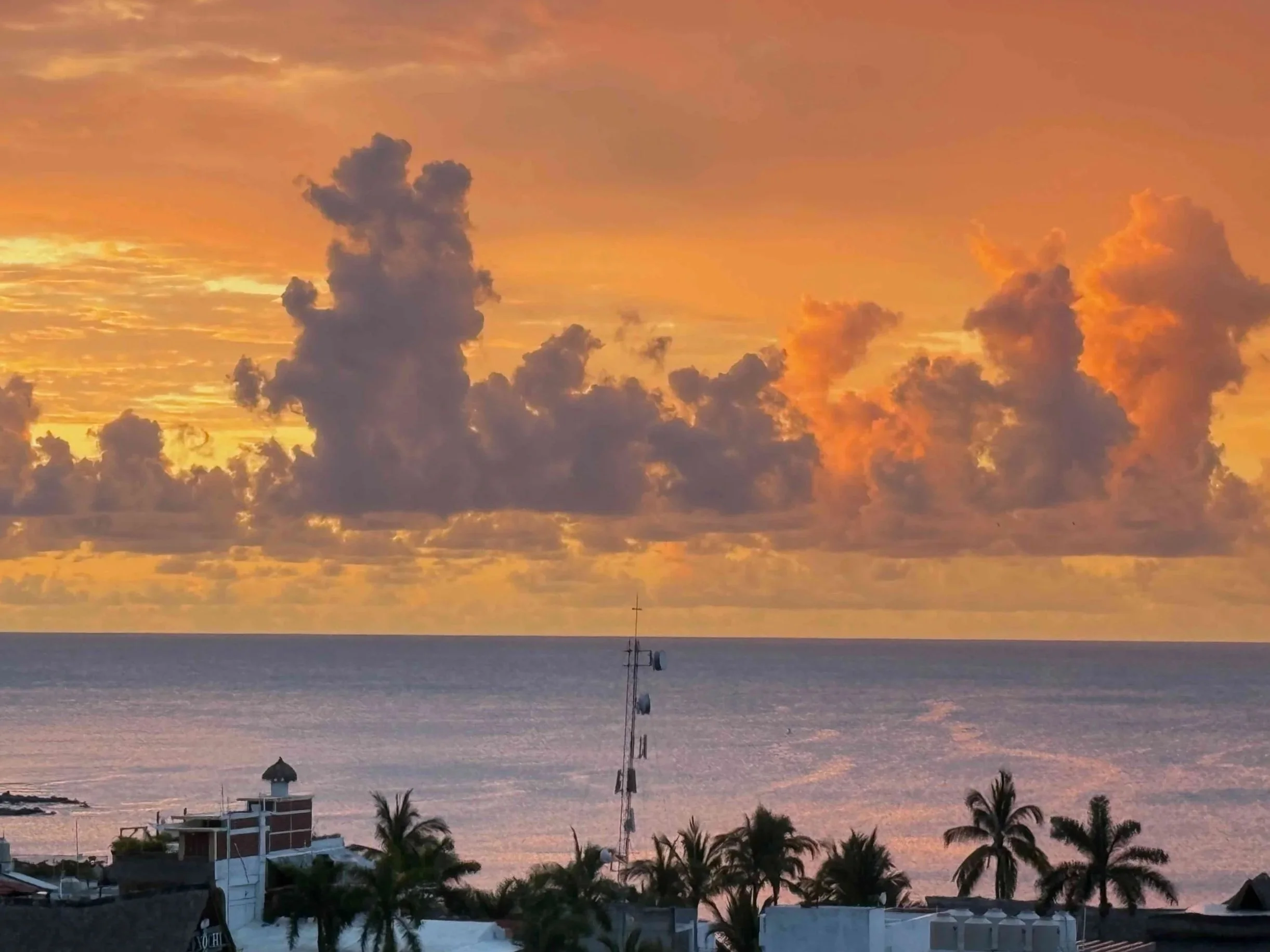 Sunset over the ocean with orange, pink, and purple clouds, silhouetted palm trees, and rooftops in the foreground.