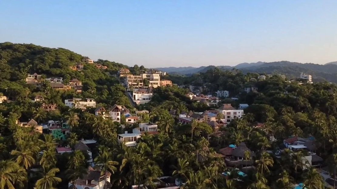 A hillside community with numerous houses surrounded by dense green trees and palm trees, with mountains in the background under a clear sky.