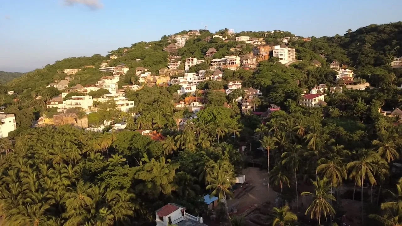 A hillside covered with lush green trees and numerous houses with varied architecture, some modern and some traditional, under a clear blue sky with sunlight illuminating the scene.