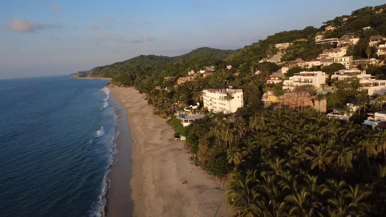 Aerial view of a beach with waves, sandy shoreline, hillside with residential houses, and lush green trees.