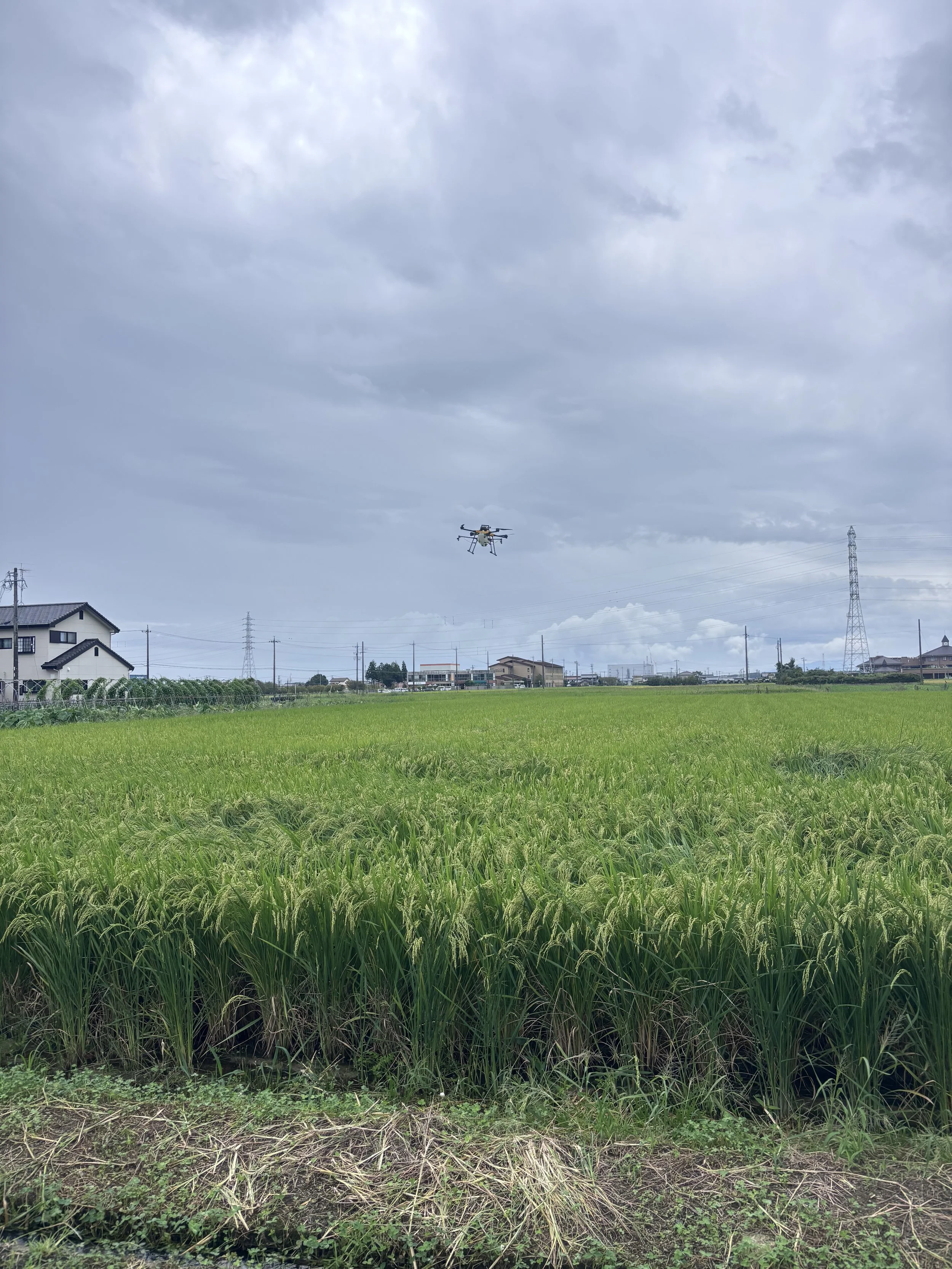7月・8月はドローン農薬散布の最盛期｜中山間地の皆さまに防除をお届けしました