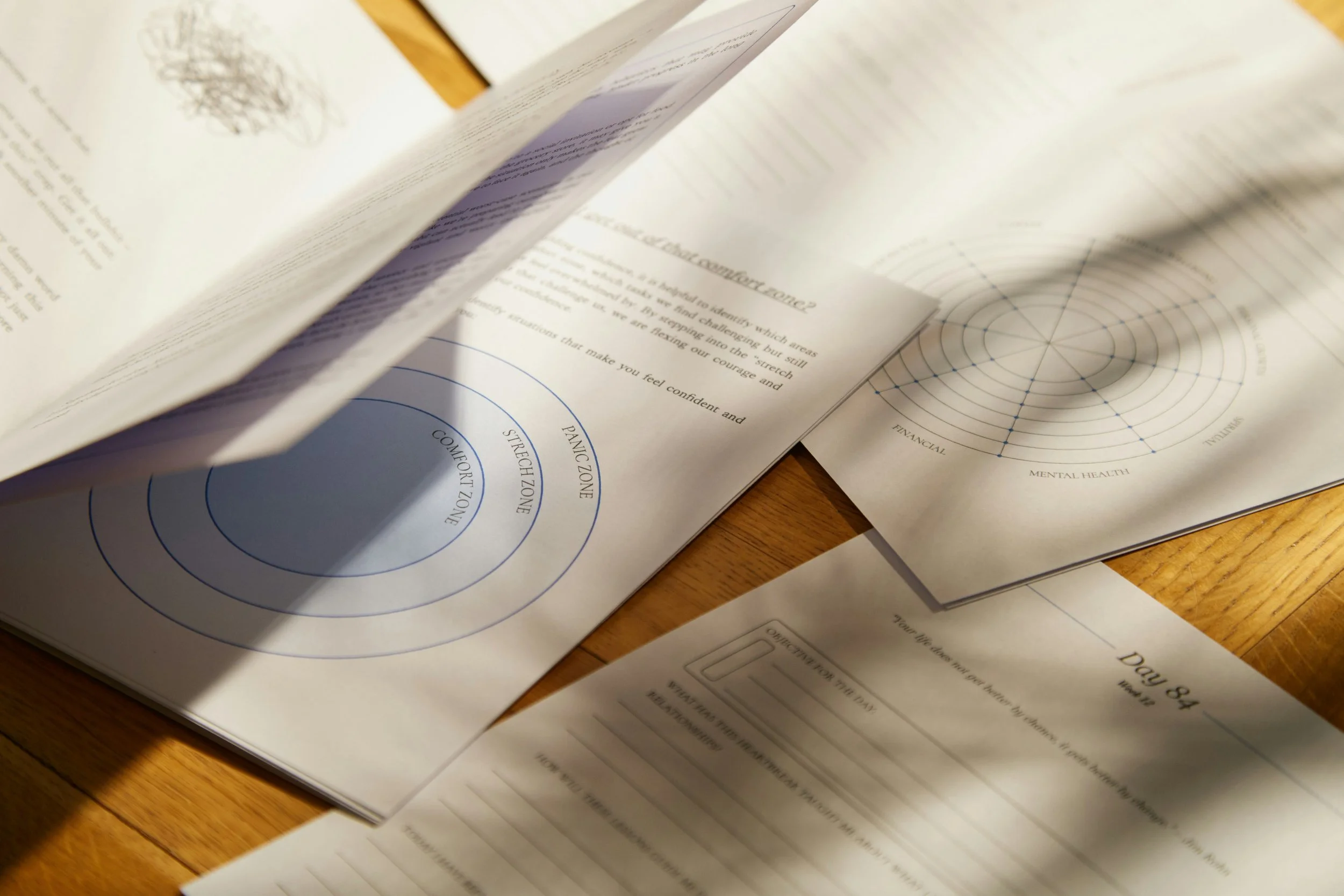 Several sheets of paper with diagrams and written text on a wooden table, including a radar chart with labels for financial, mental health, and stress zones.
