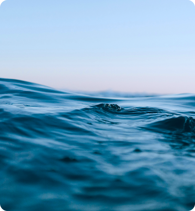 Agnetha Gustavsson kan hjälpa dig med din projektledning..