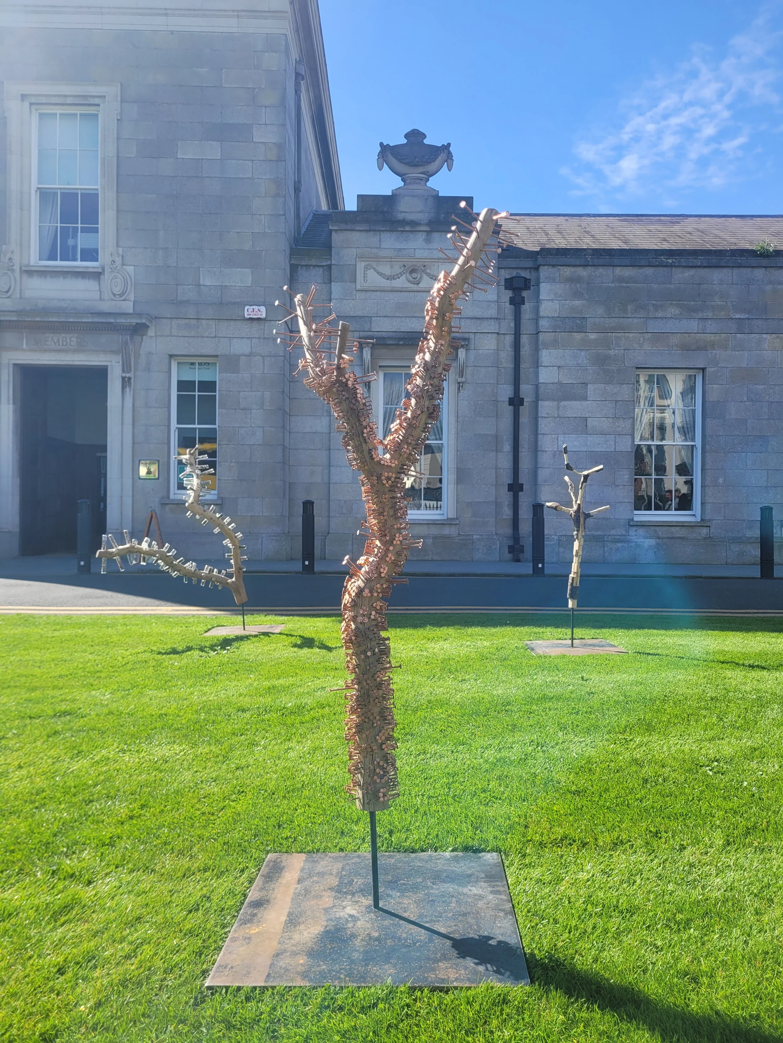 The Fallen Branches of the Somme Oak (on display at the Royal Dublin Society)  - Installation - Dimension Variable - 2026