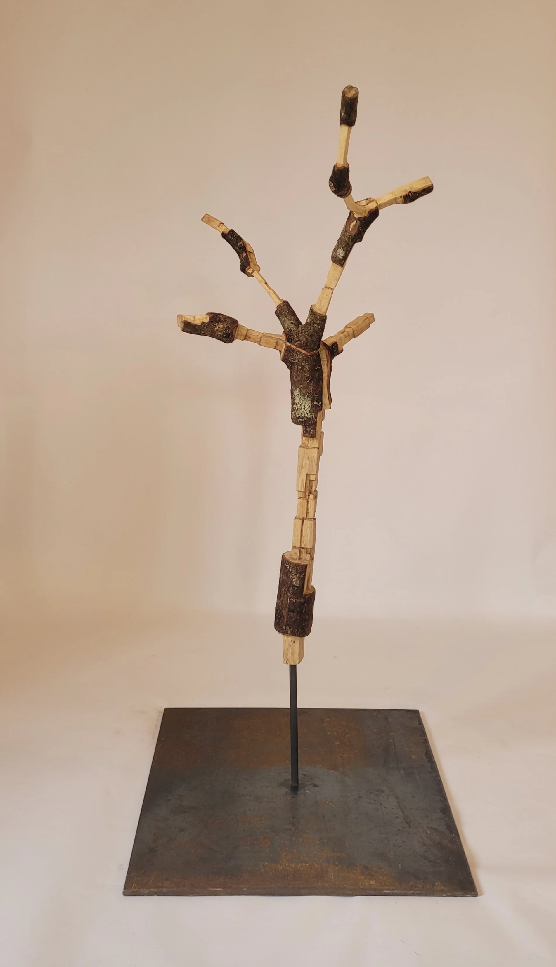 The Somme Oak Branch VII - 2026 - oak, steel - 105cm x 41cm x 39cm