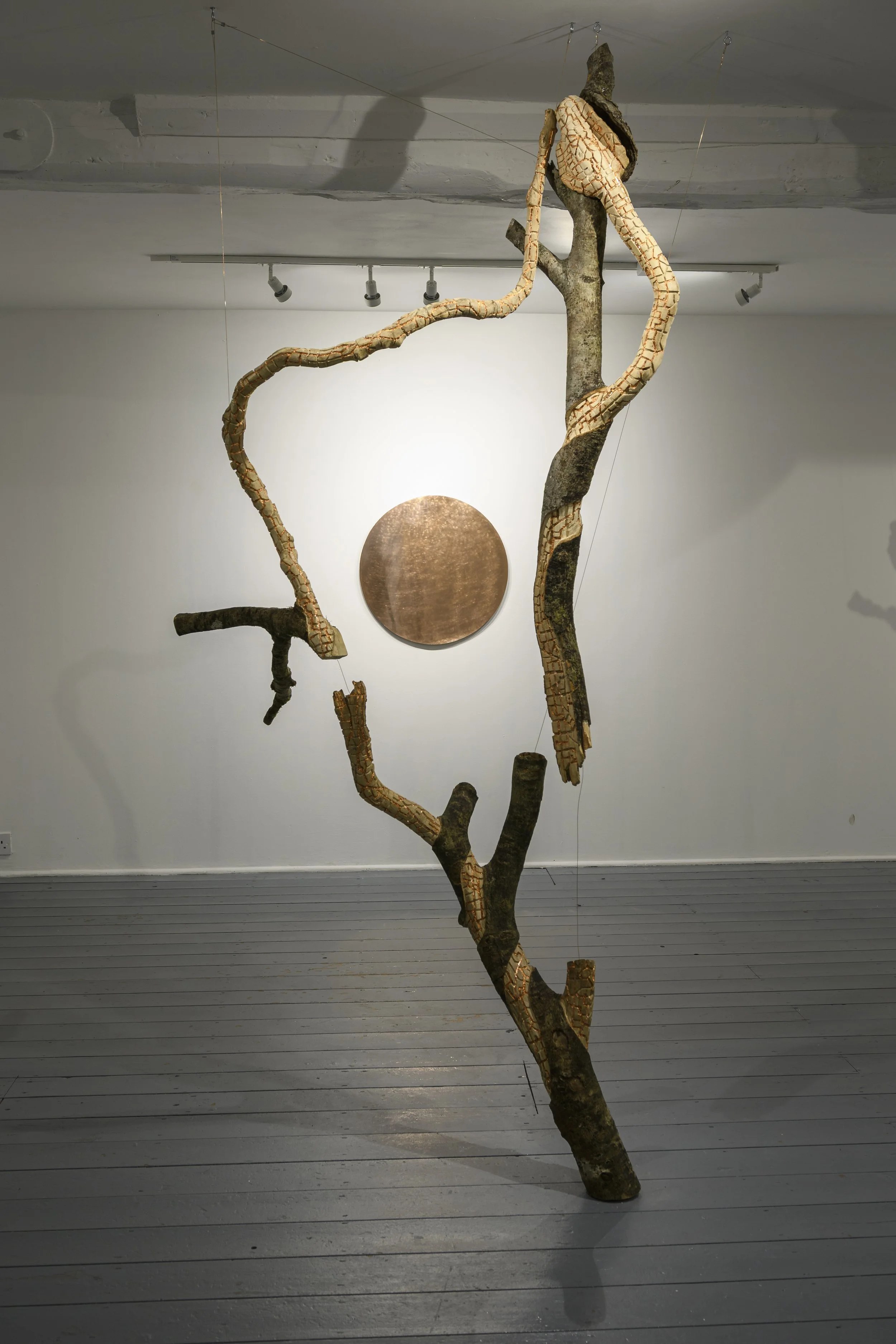 Cycle - 2025 - Carved wood, copper, copper leaf - 200cm x 80cm 18cm. Photo: Seán Daly (c)