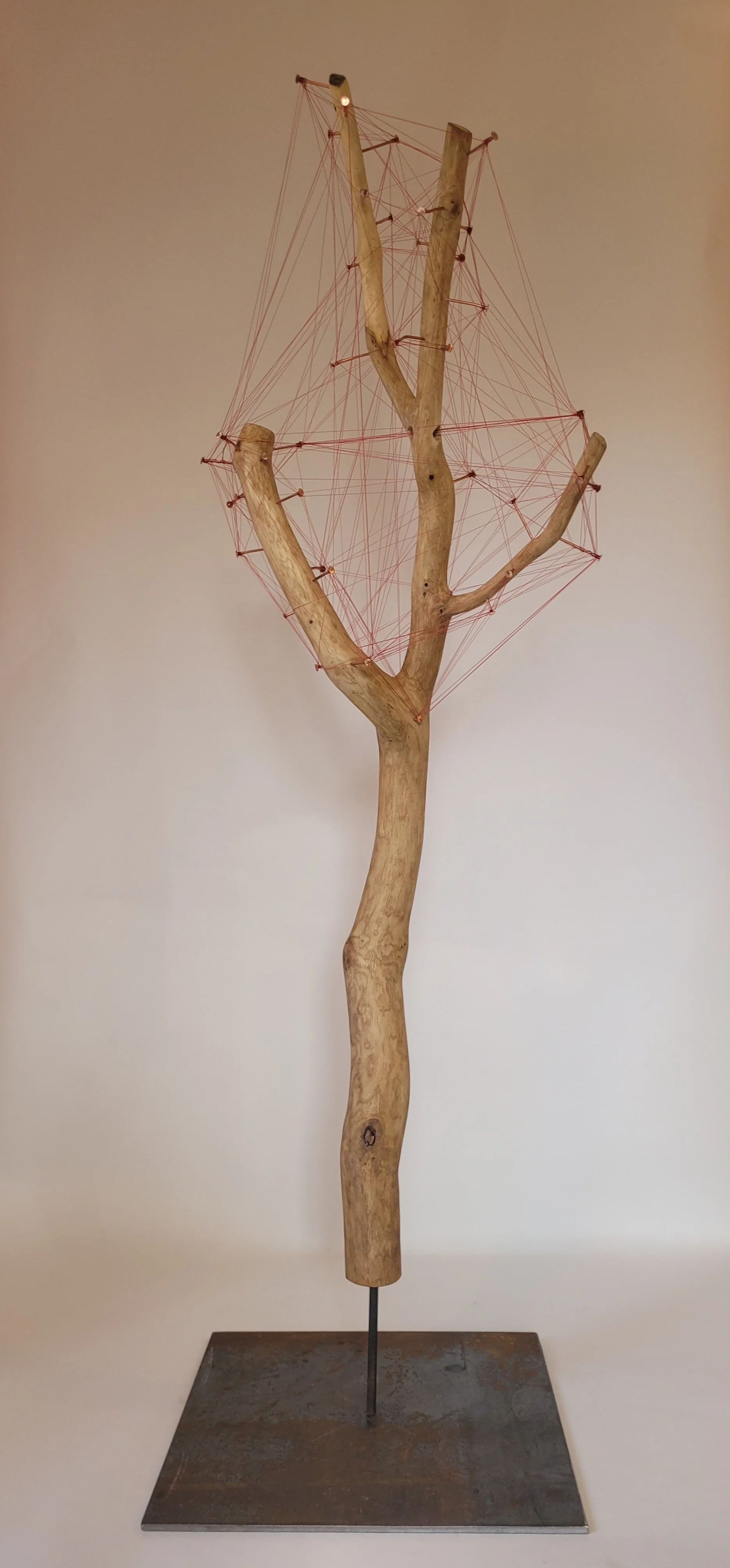 The Somme Oak Branch VI - 2026 - oak, steel, copper nails, fishing line - 182cm x 42cm x 35cm