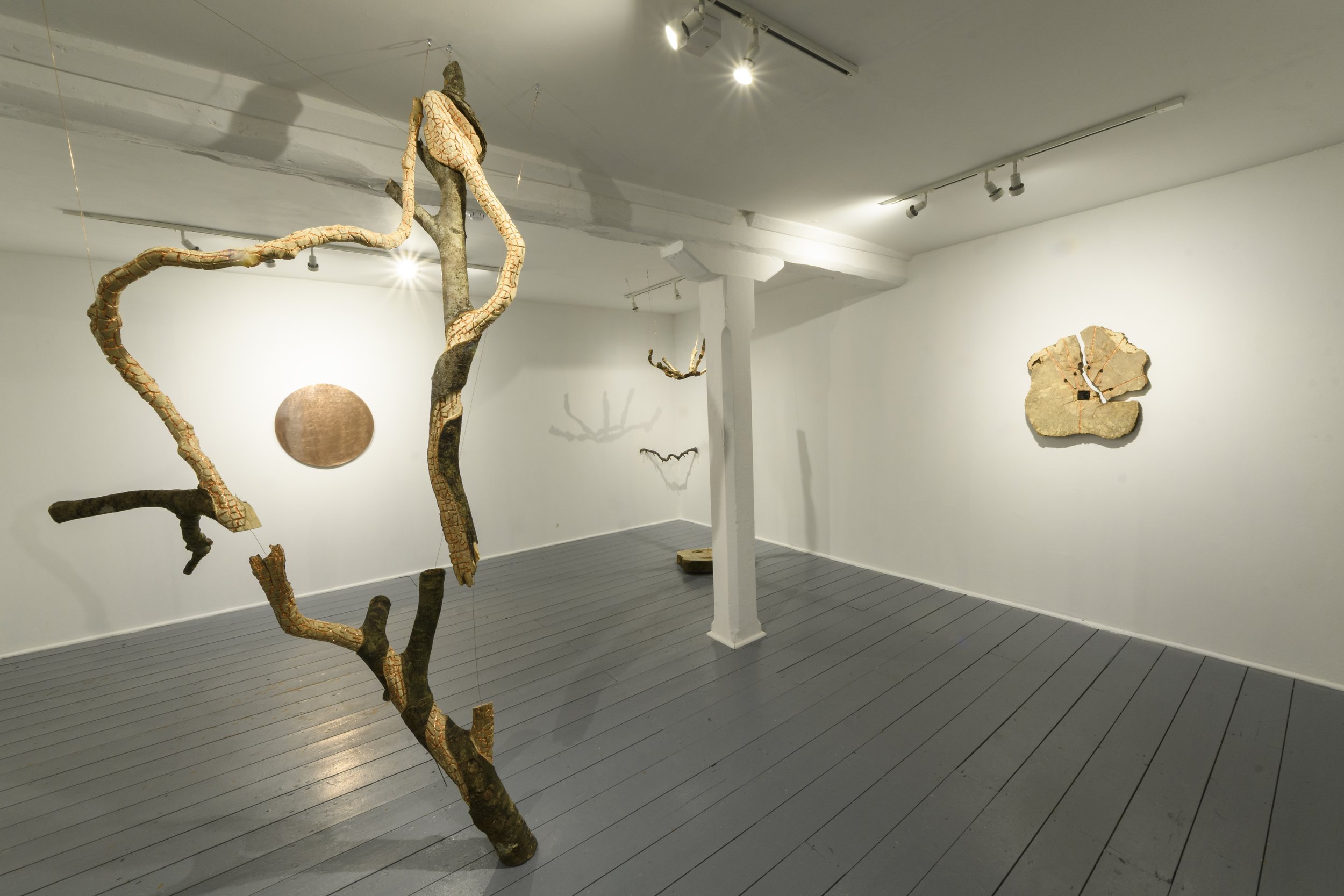 Reach out, pull me Closer - 2025 - Installation view. Photo: Seán Daly (c)