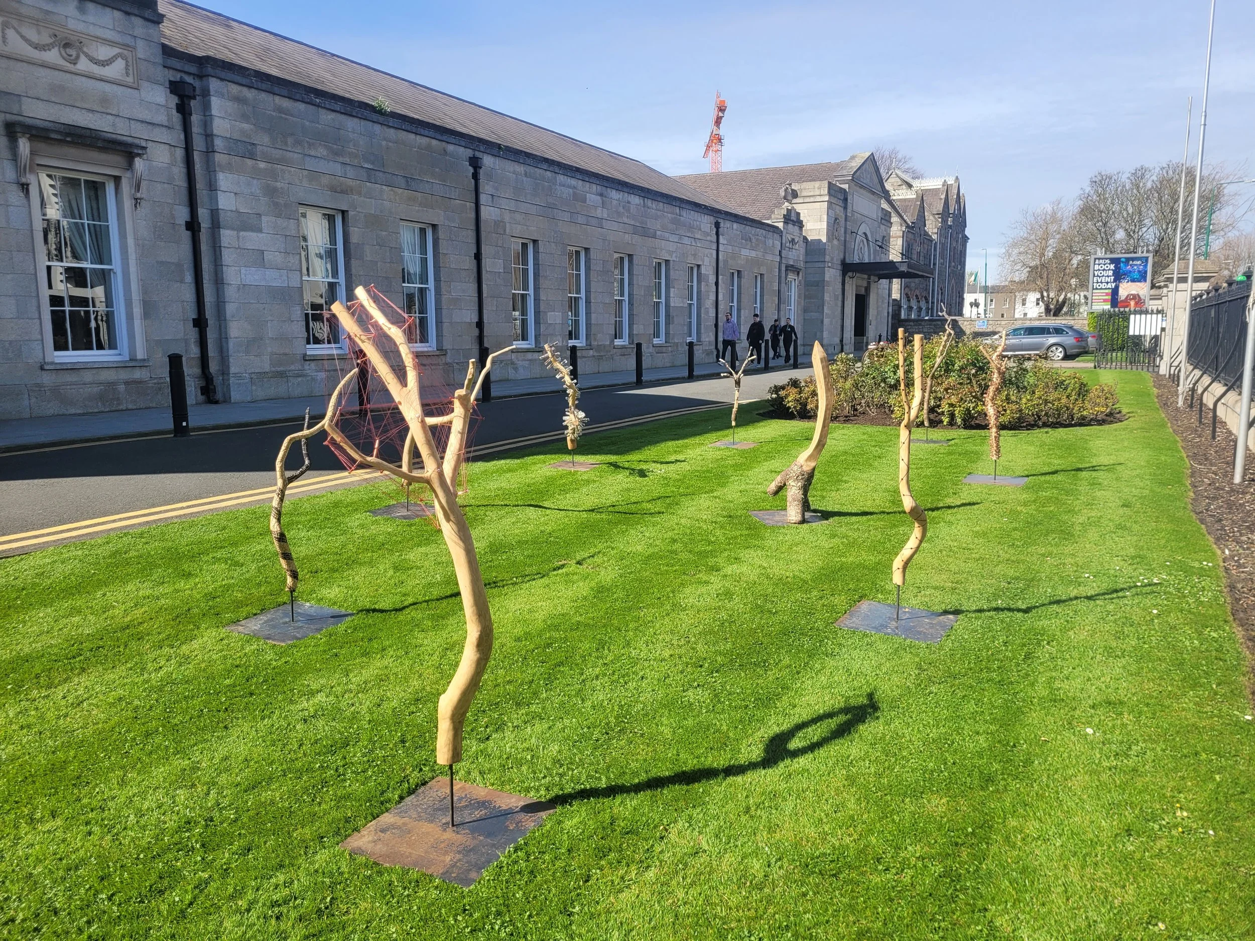 The Fallen Branches of the Somme Oak (on display at the Royal Dublin Society)  - Installation - Dimensions Variable - 2026