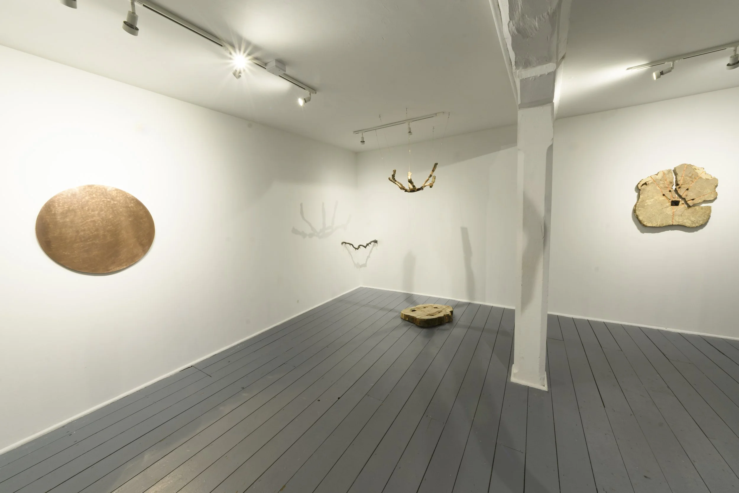 Reach out, pull me Closer - 2025 - Installation view. Photo: Seán Daly (c)