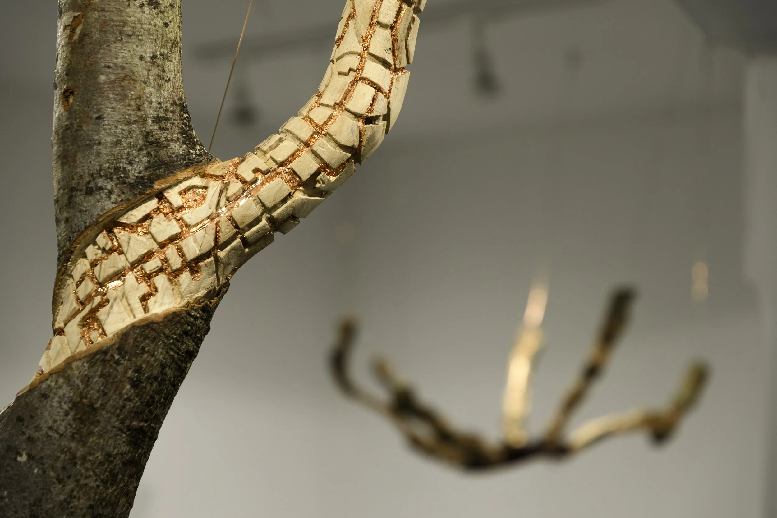 Reach out, pull me Closer - 2025 - Detail. Photo: Seán Daly (c).