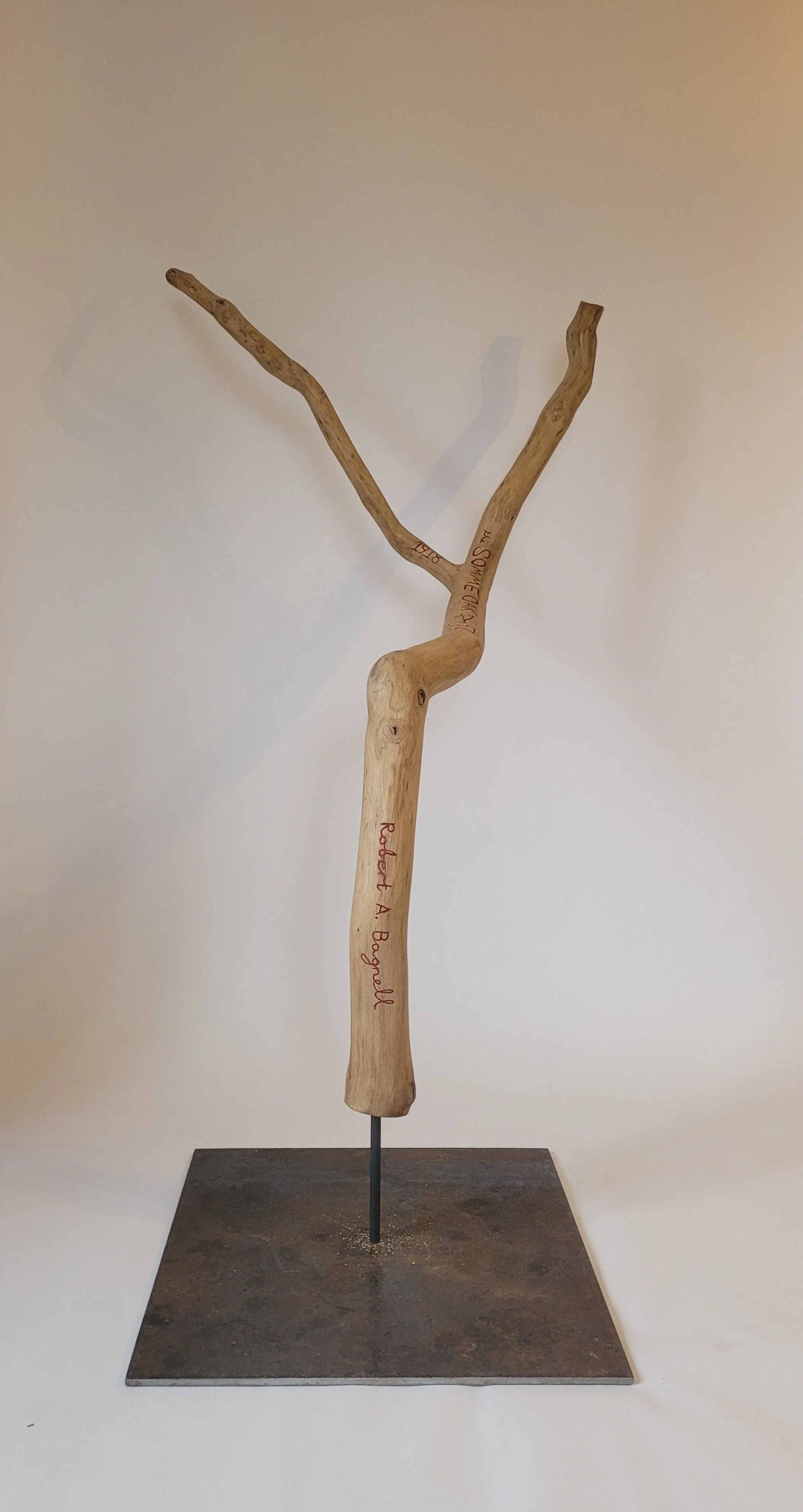 The Somme Oak Branch VIII - 2026 - oak, steel, - 147cm x 39cm x 62cm