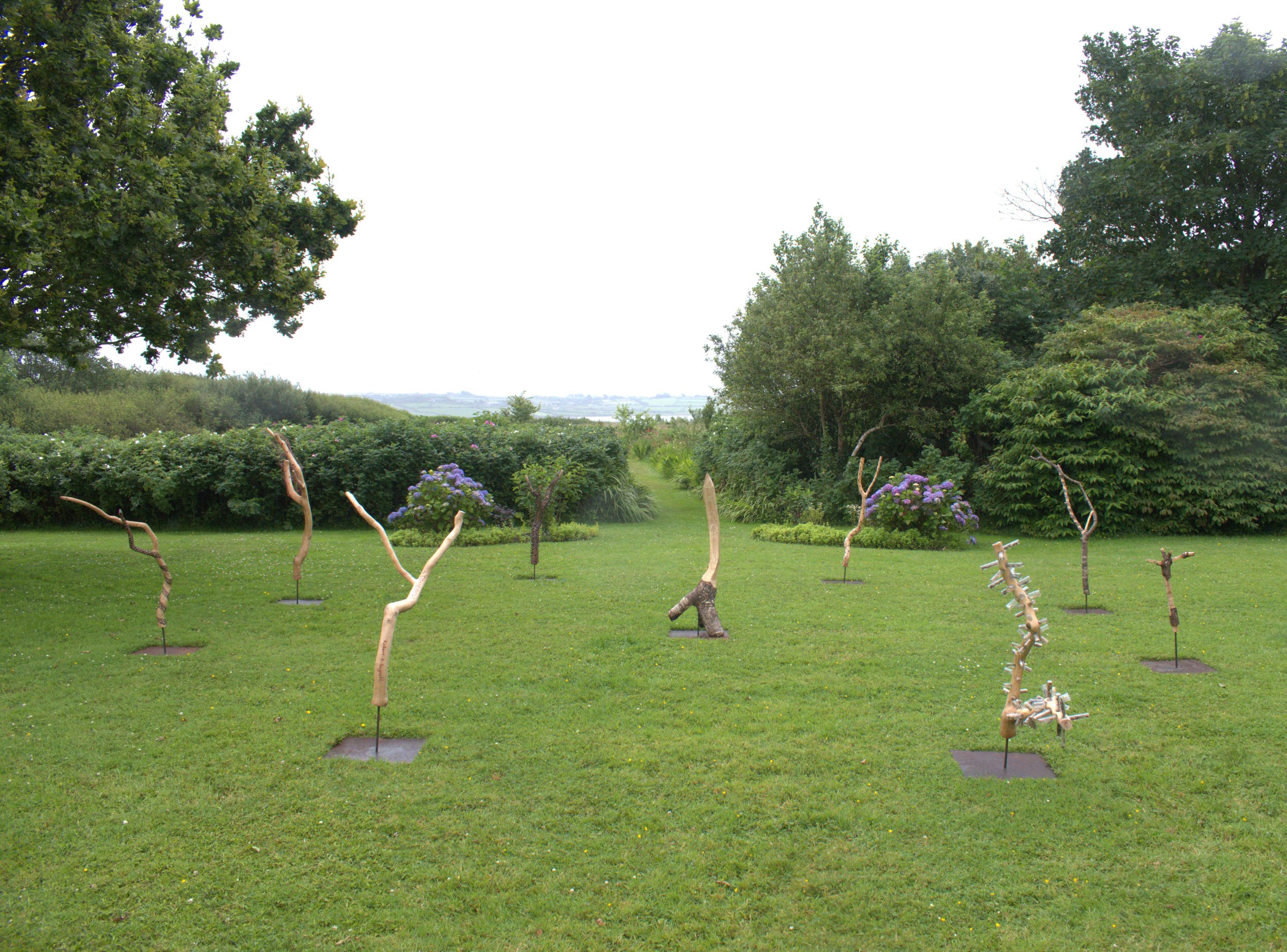 The Fallen Branches of the Somme Oak - Installation - Dimensions Variable - 2026
