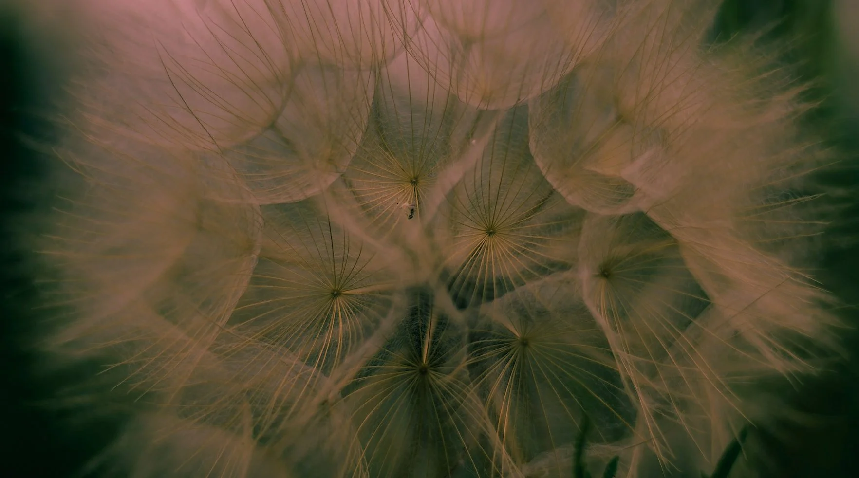 Regresar a Ti es Sanar