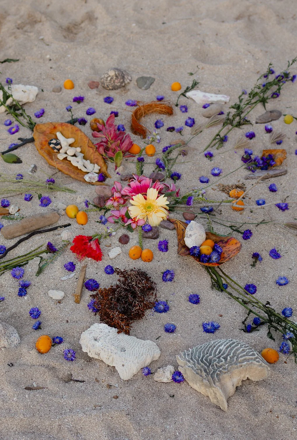 ofrenda en la playa