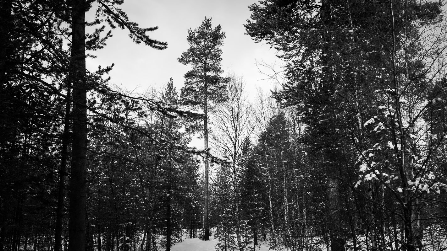 DSC_0300.jpg