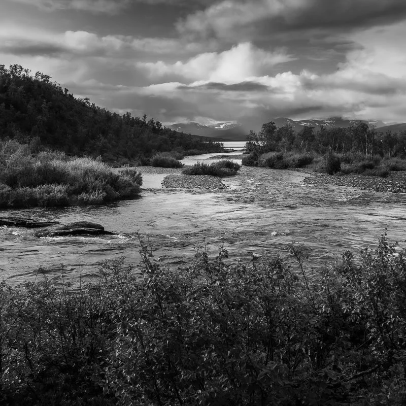 L1003617.jpg