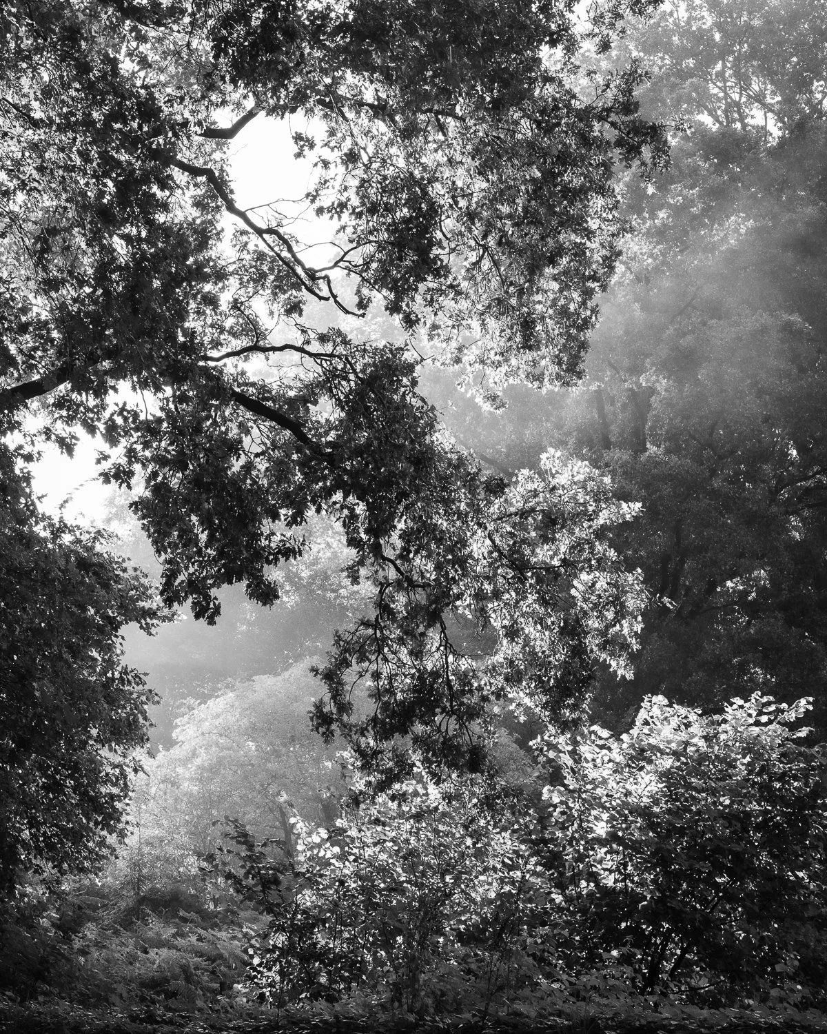 DSC_6724.jpg