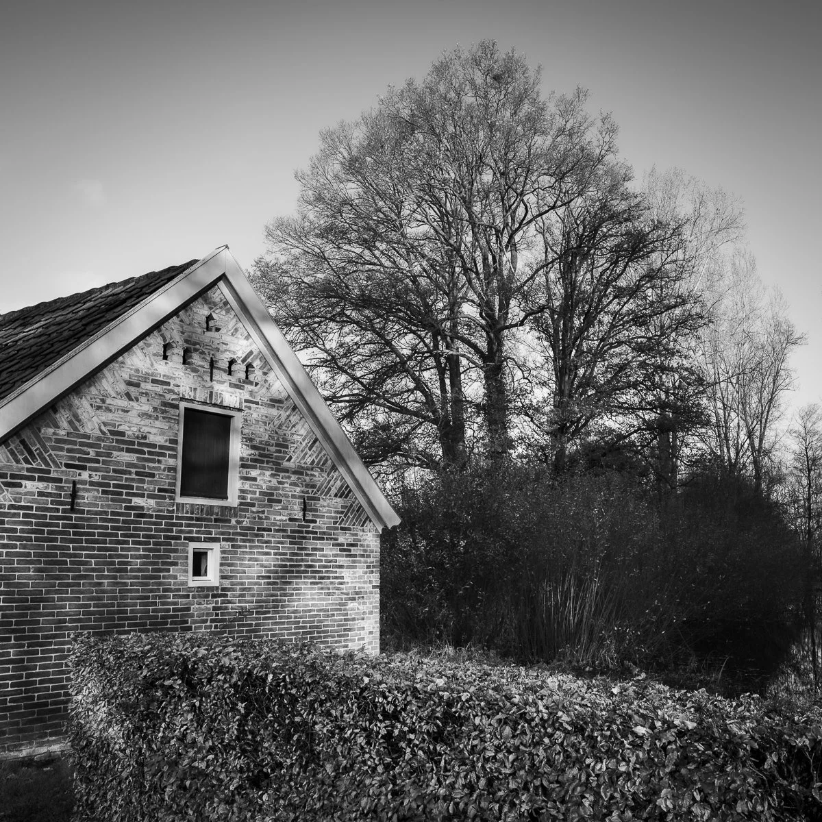 DSC_3761.jpg
