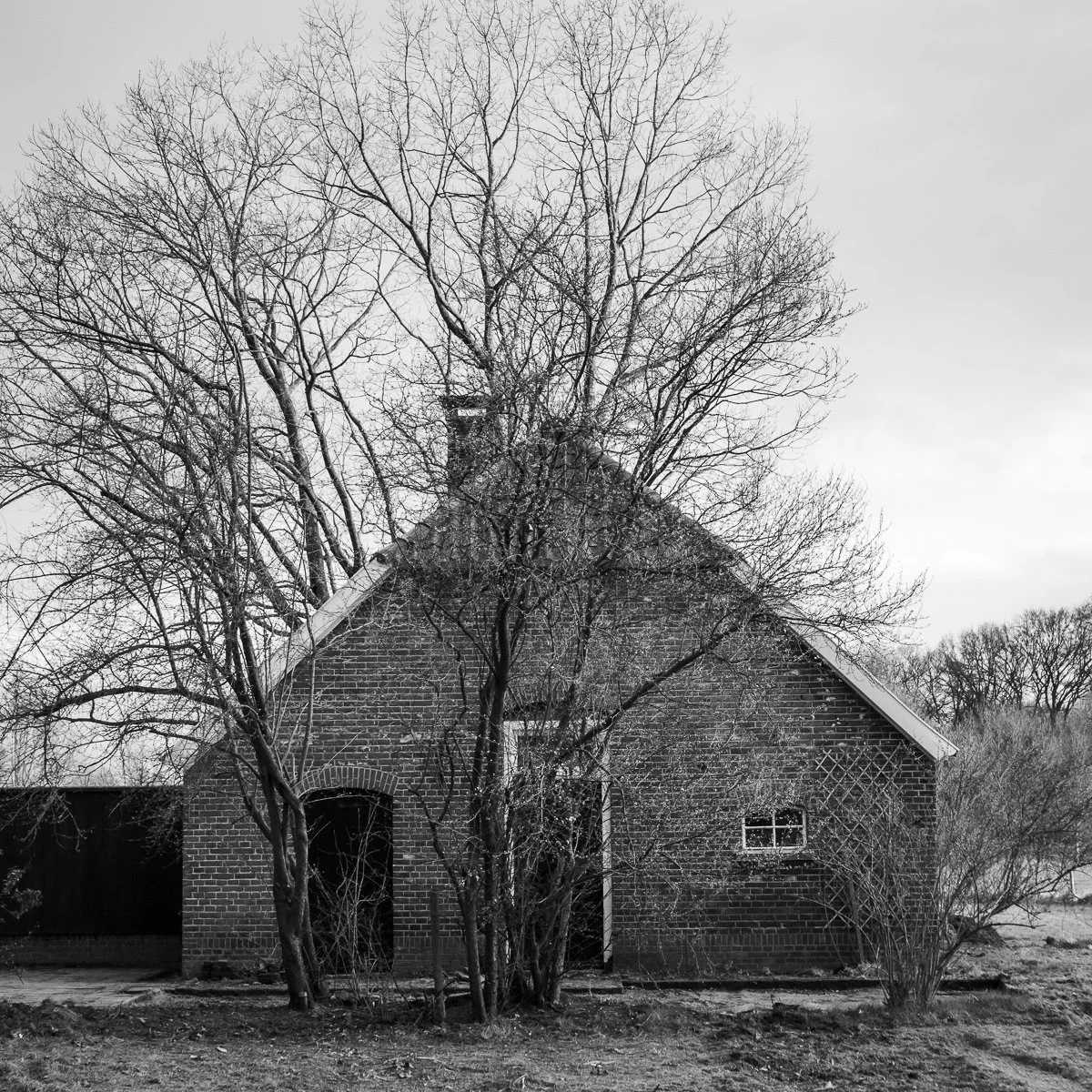 L1002722.jpg