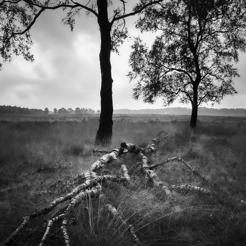 Hoge Veluwe