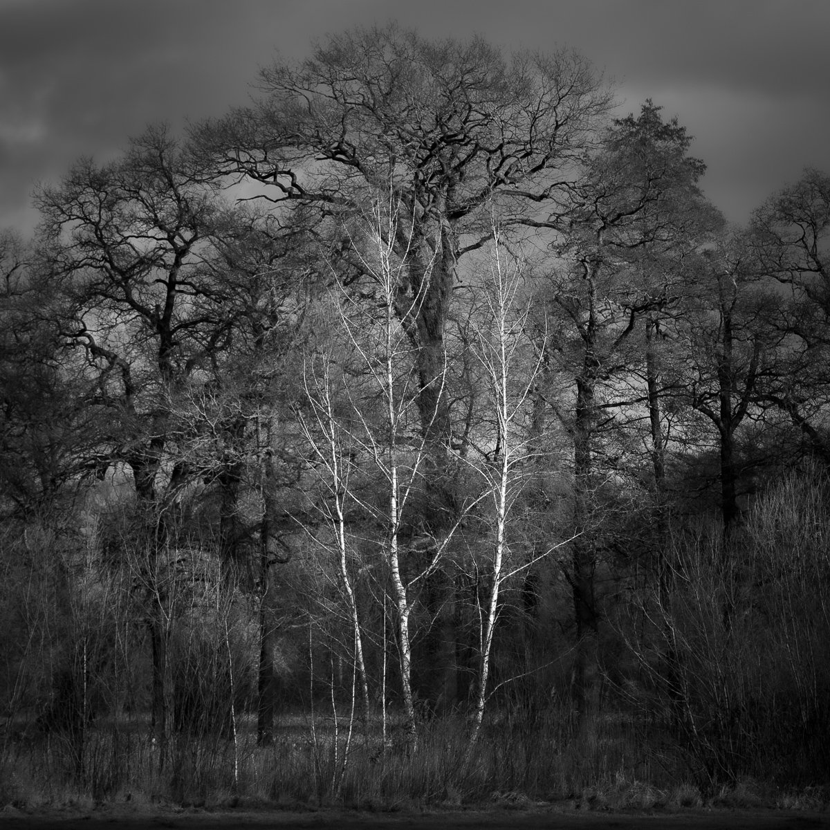 DSC_1784.jpg