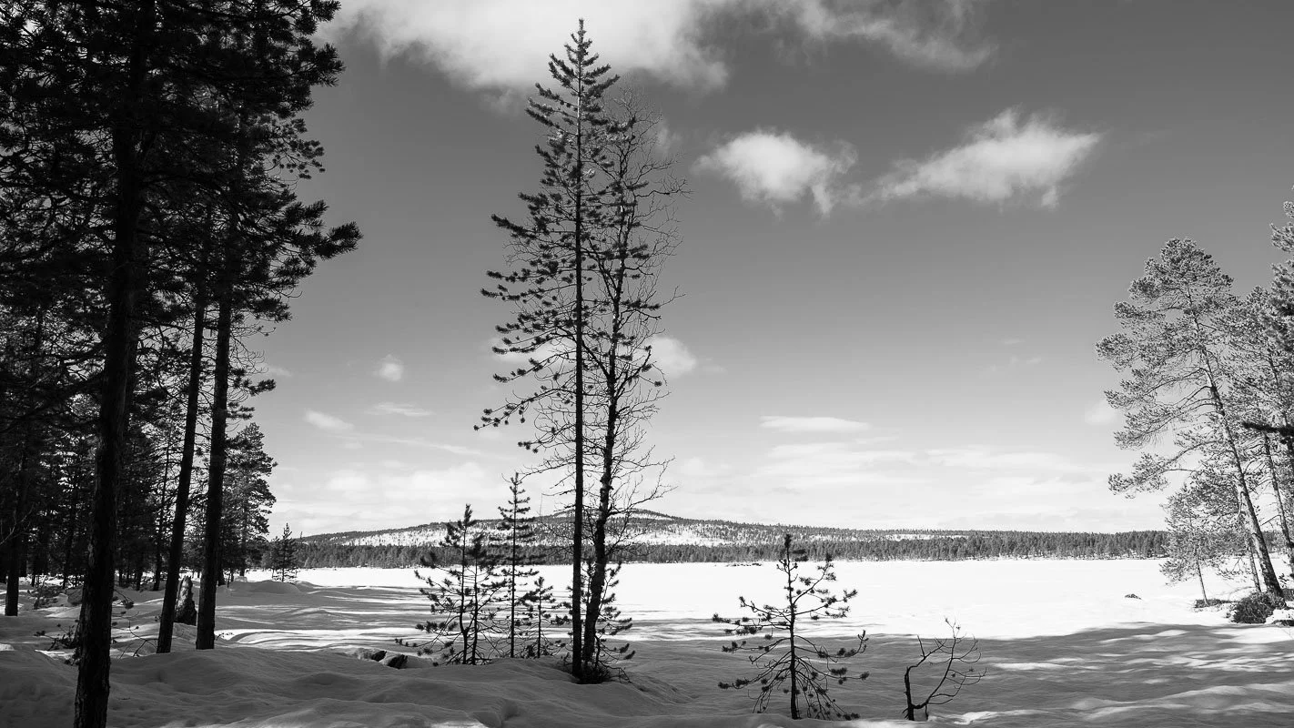 DSC_1214.jpg